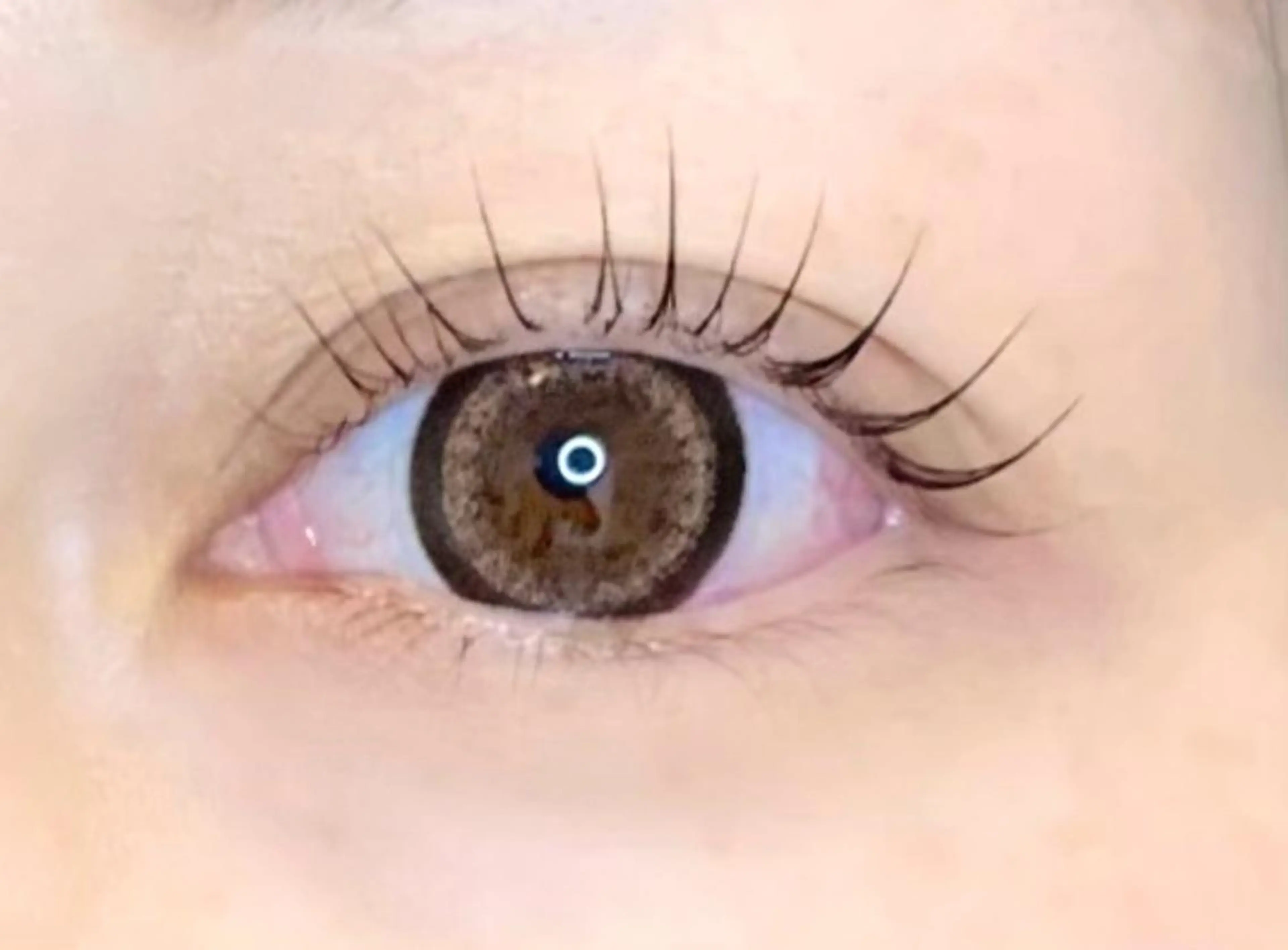 マツエク・マツパ beauty salon EL所属・beauty salon ELのマツエク・マツパデザイン