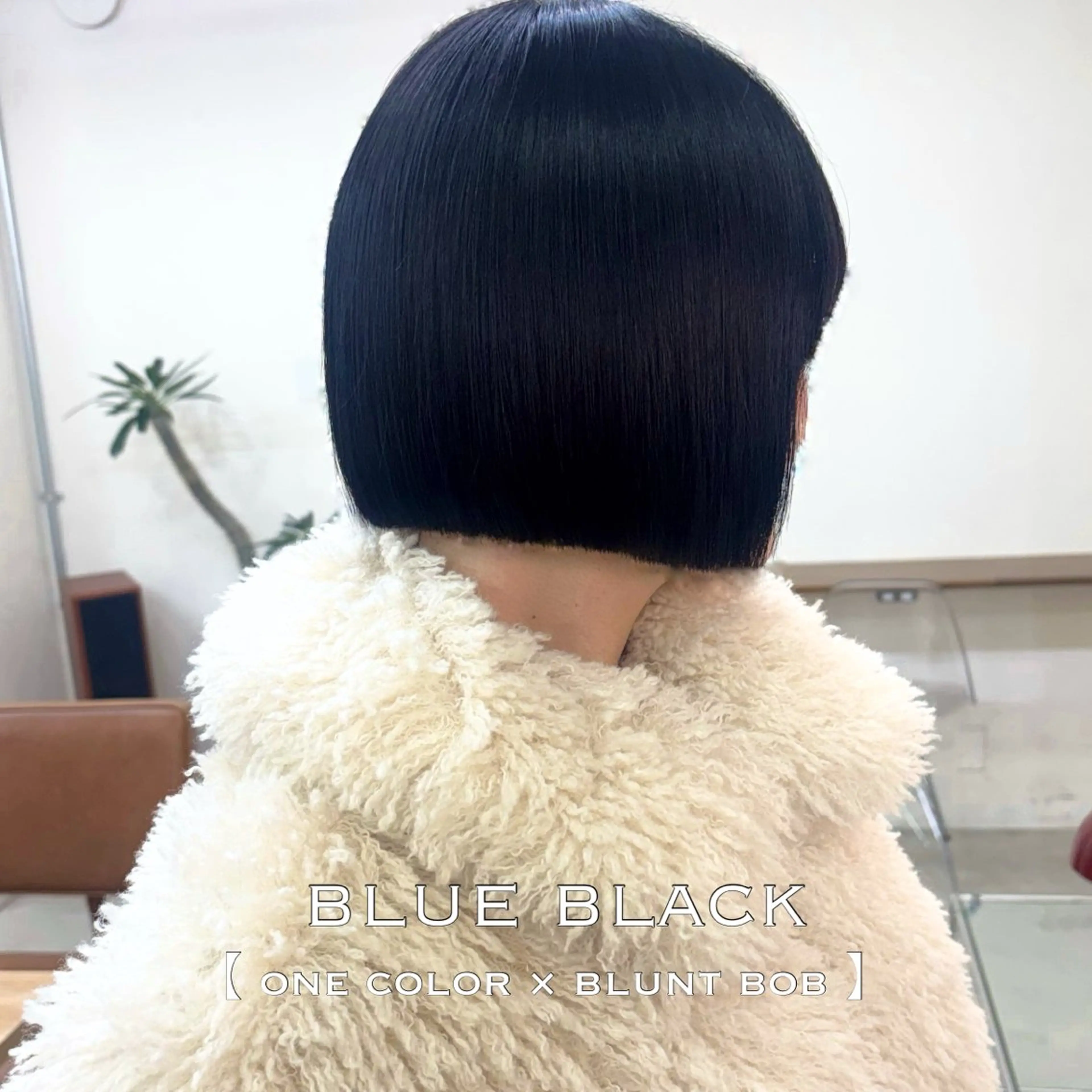 ショート カラー カット ヘアカラー ⌇🌹透明感カラー 🌹ᴍᴇɢᴜᴍɪ ⌇のヘアスタイル