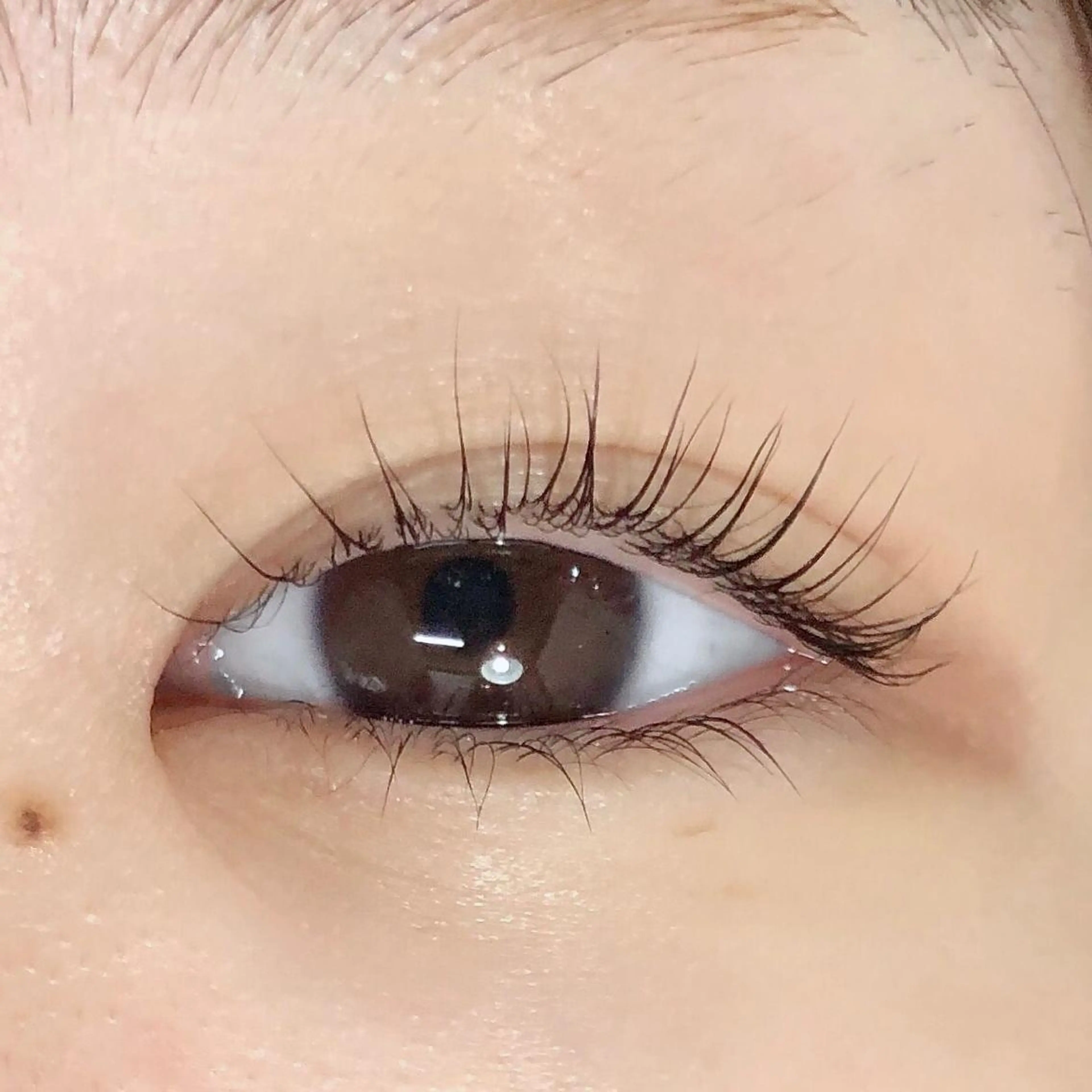 マツエク・マツパ まつげパーマ 下まつげエクステ マツパ Tidi【ティディ】所属・Tidi mizuhoのマツエク・マツパデザイン