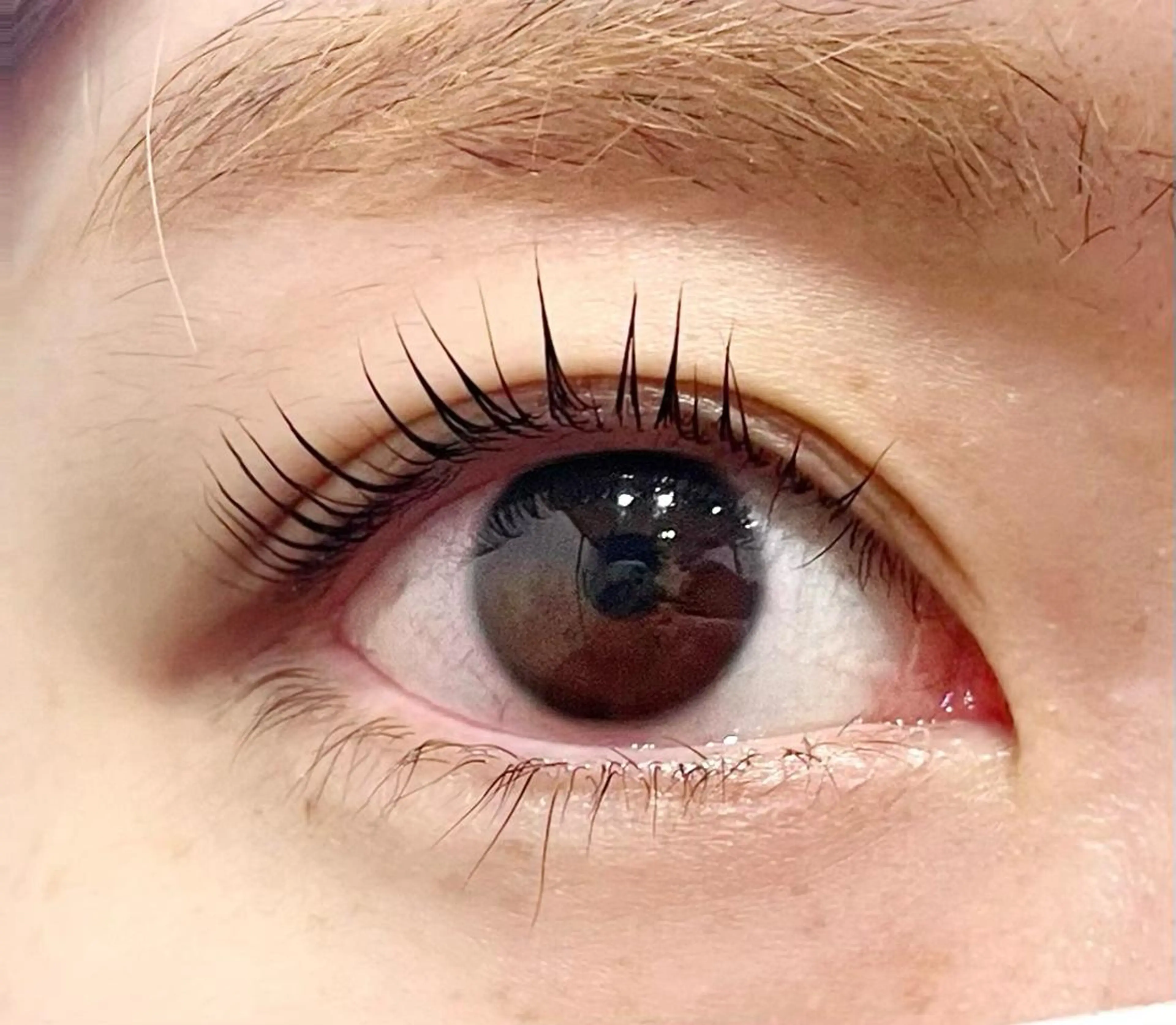 マツエク・マツパ パリジェンヌラッシュリフト EmmA所属・NOZOMI -EmmA-のマツエク・マツパデザイン