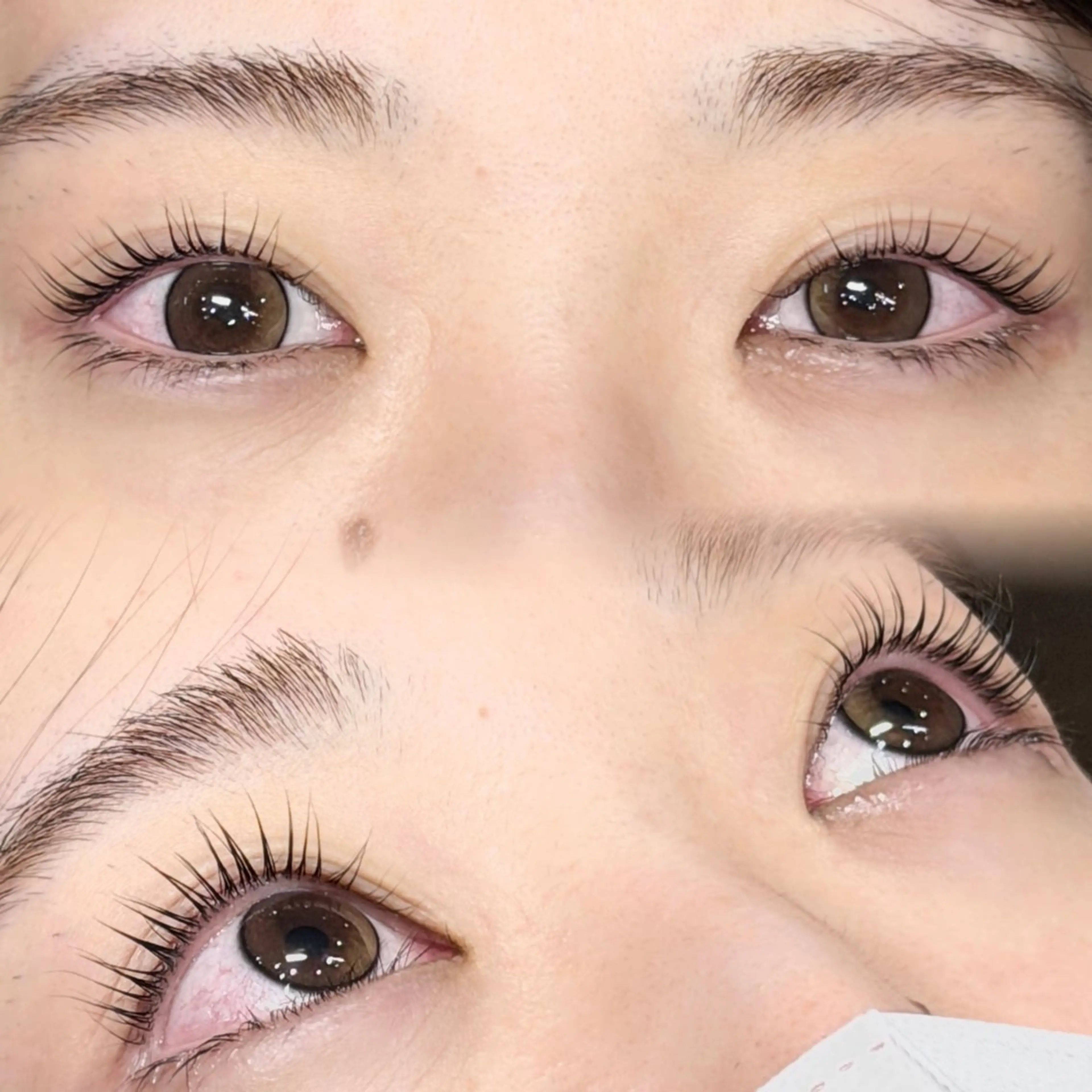 マツエク・マツパ BETTISH. AYANAのマツエク・マツパデザイン