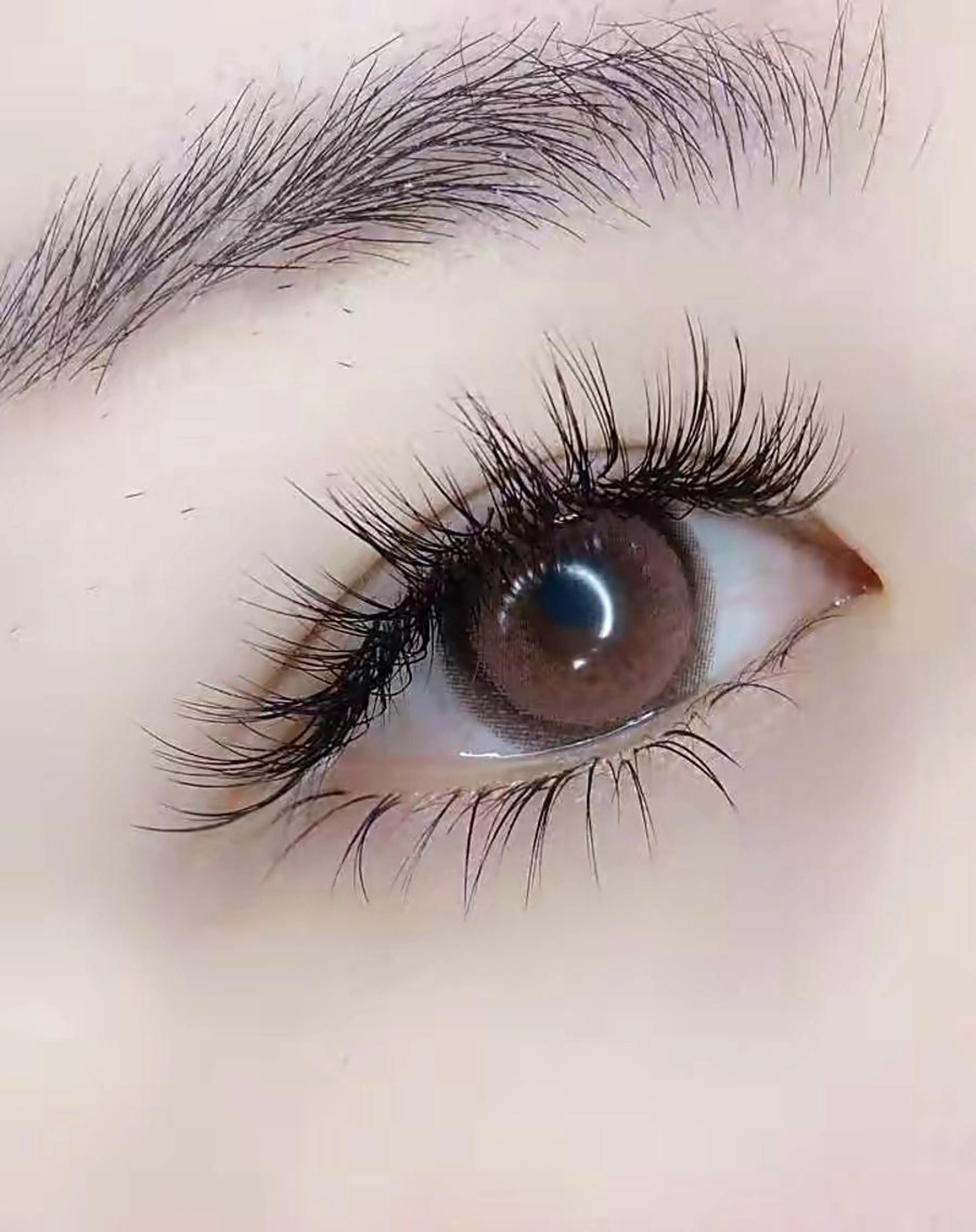 フラットラッシュ120の写真