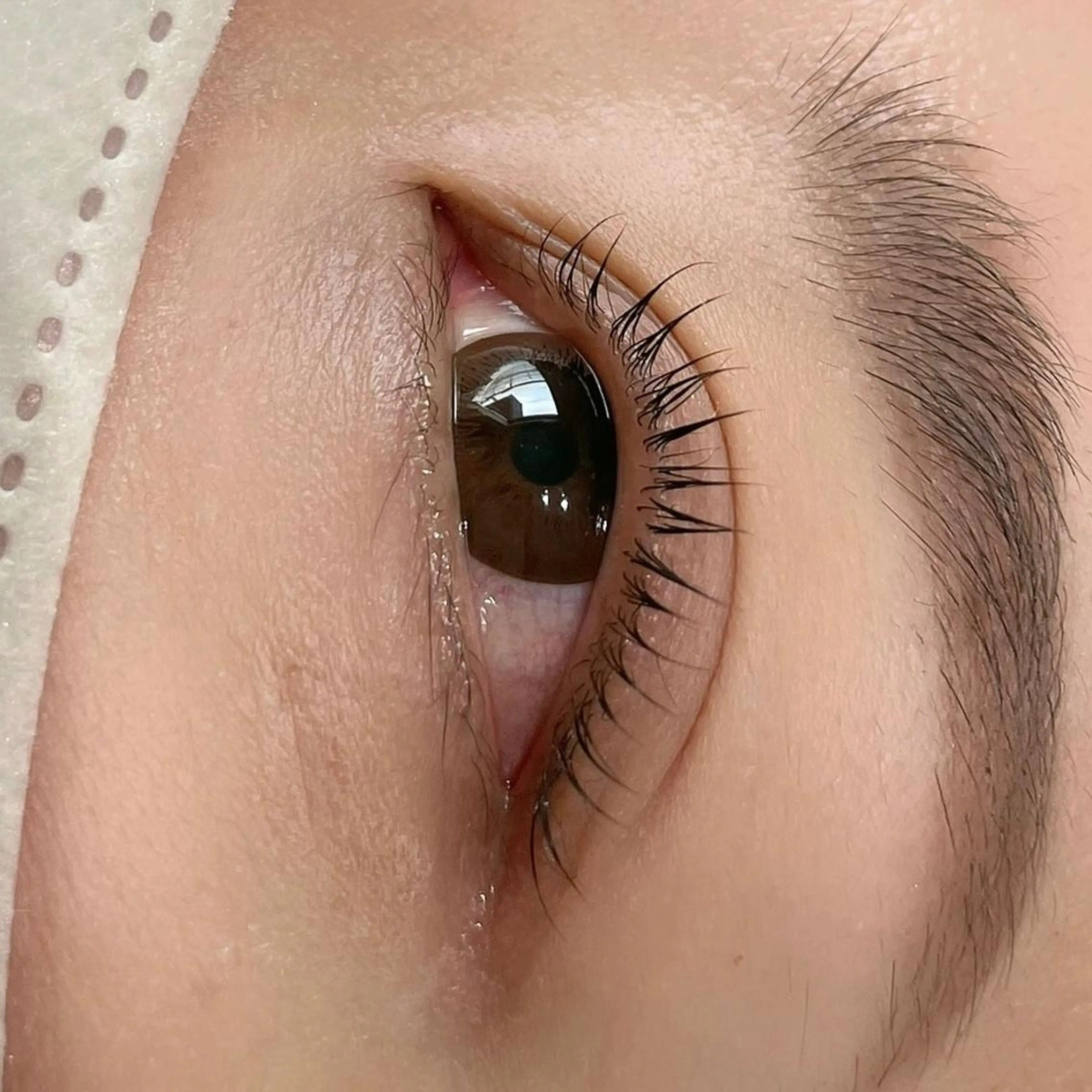 マツエク・マツパ マツパ Koti sakai mayuのマツエク・マツパデザイン