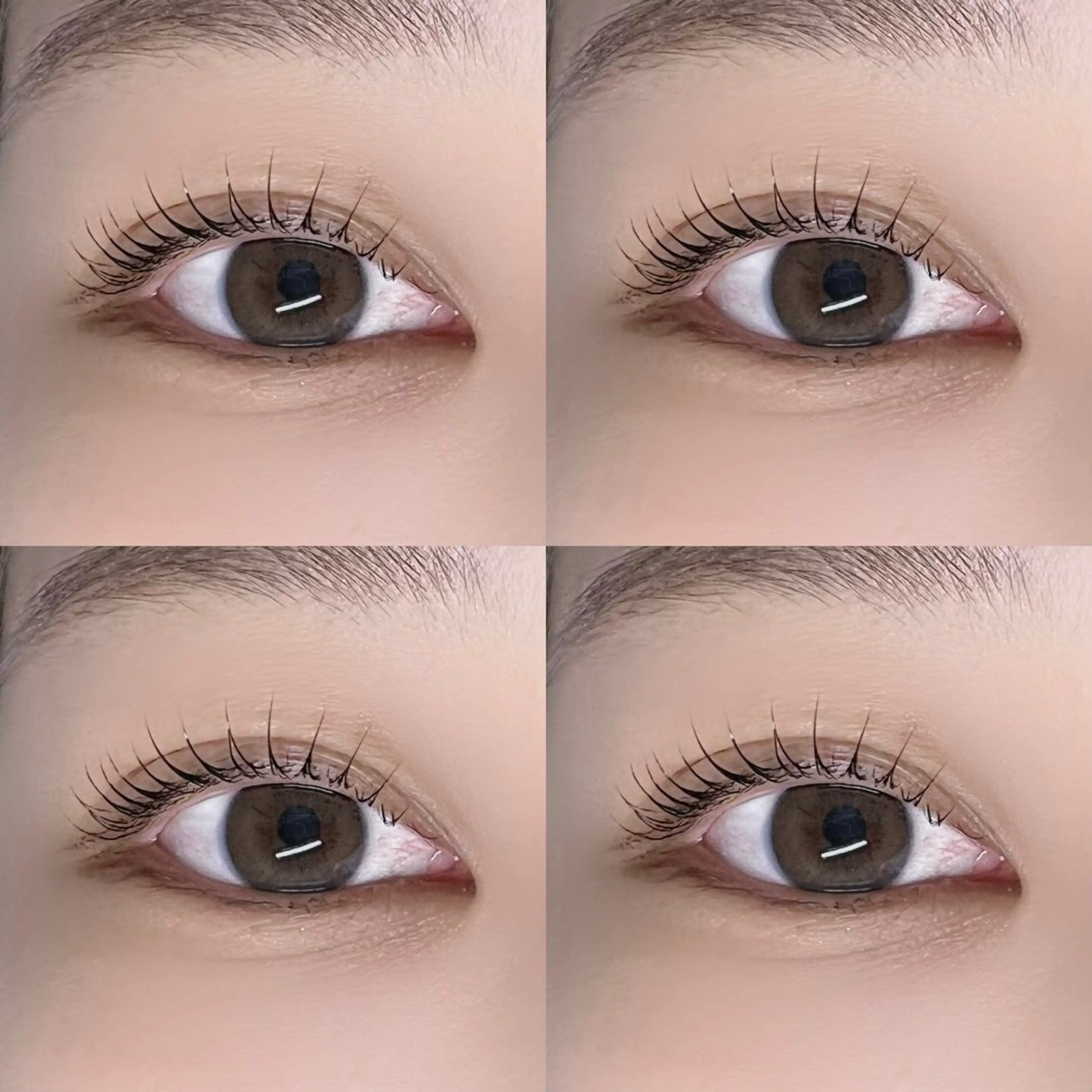 マツエク・マツパ 垢抜け眉WAX専門 ちゅるんまつげ|鎌倉の眉毛・アイブロウイメージ