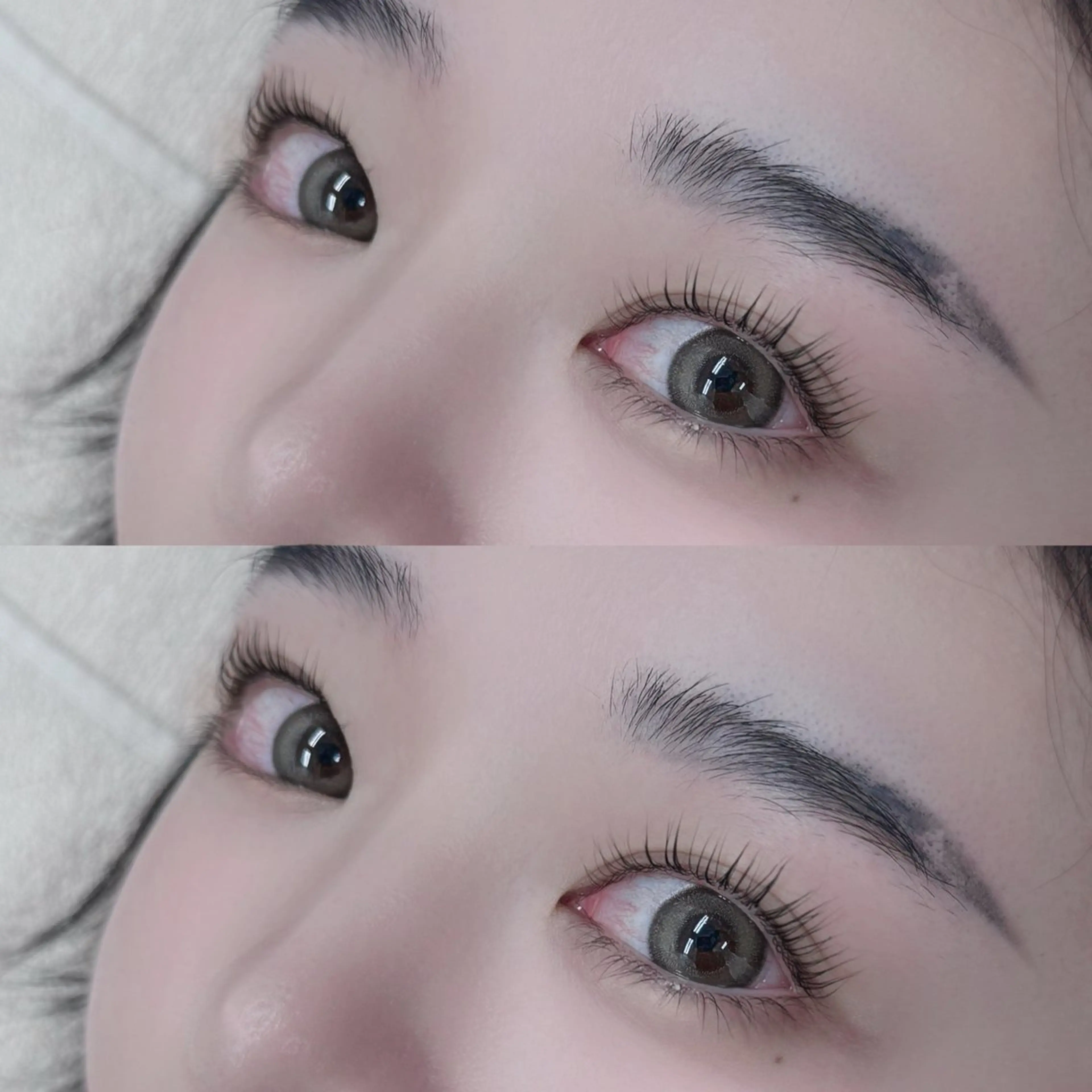 🦋パリジェンヌラッシュリフト🦋の写真