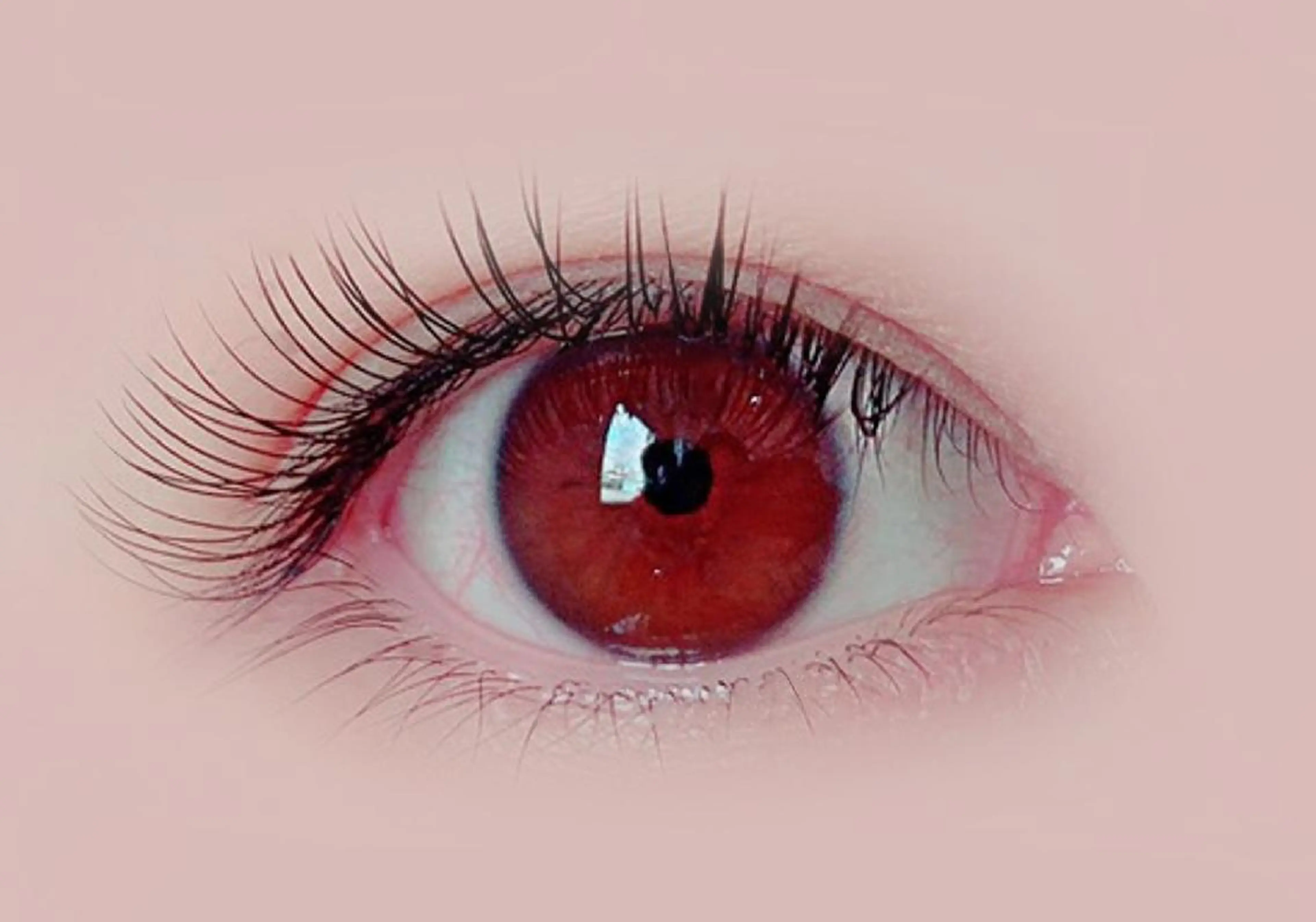 マツエク・マツパ フラットラッシュ LaMa staff★のマツエク・マツパデザイン