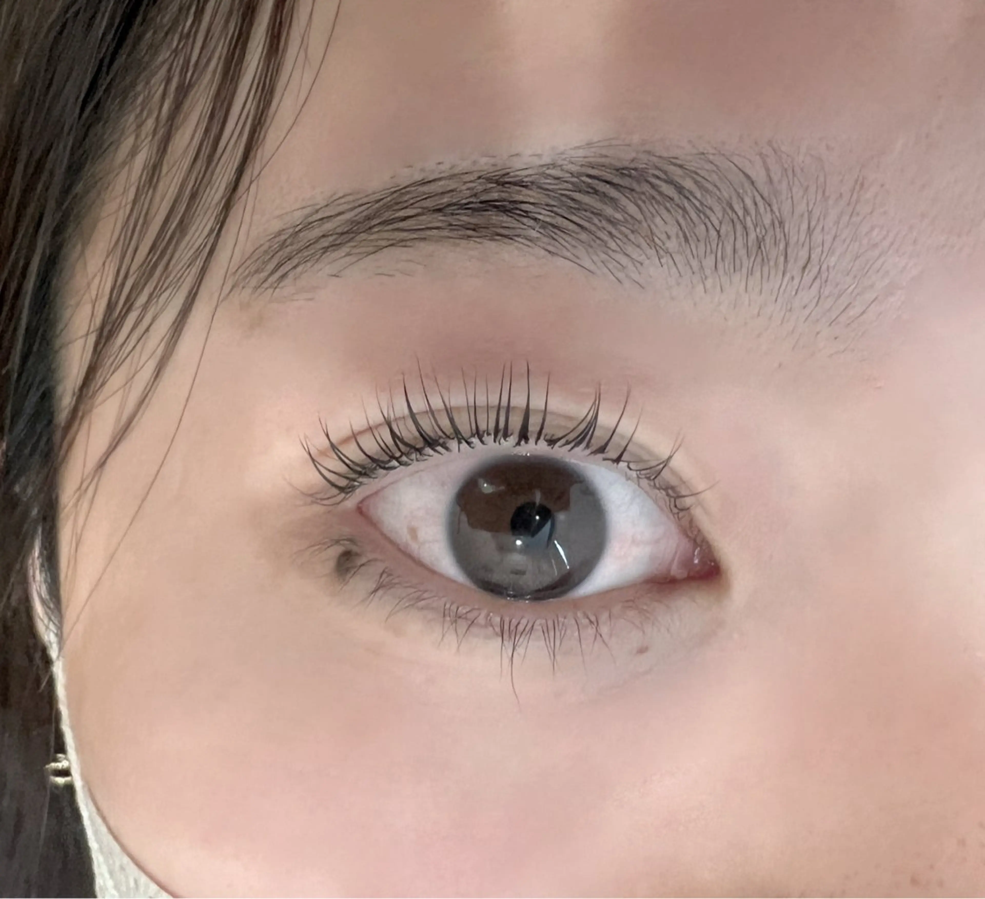 🌷🫧オフなし／無料まつ毛パーマモデル🎶の写真