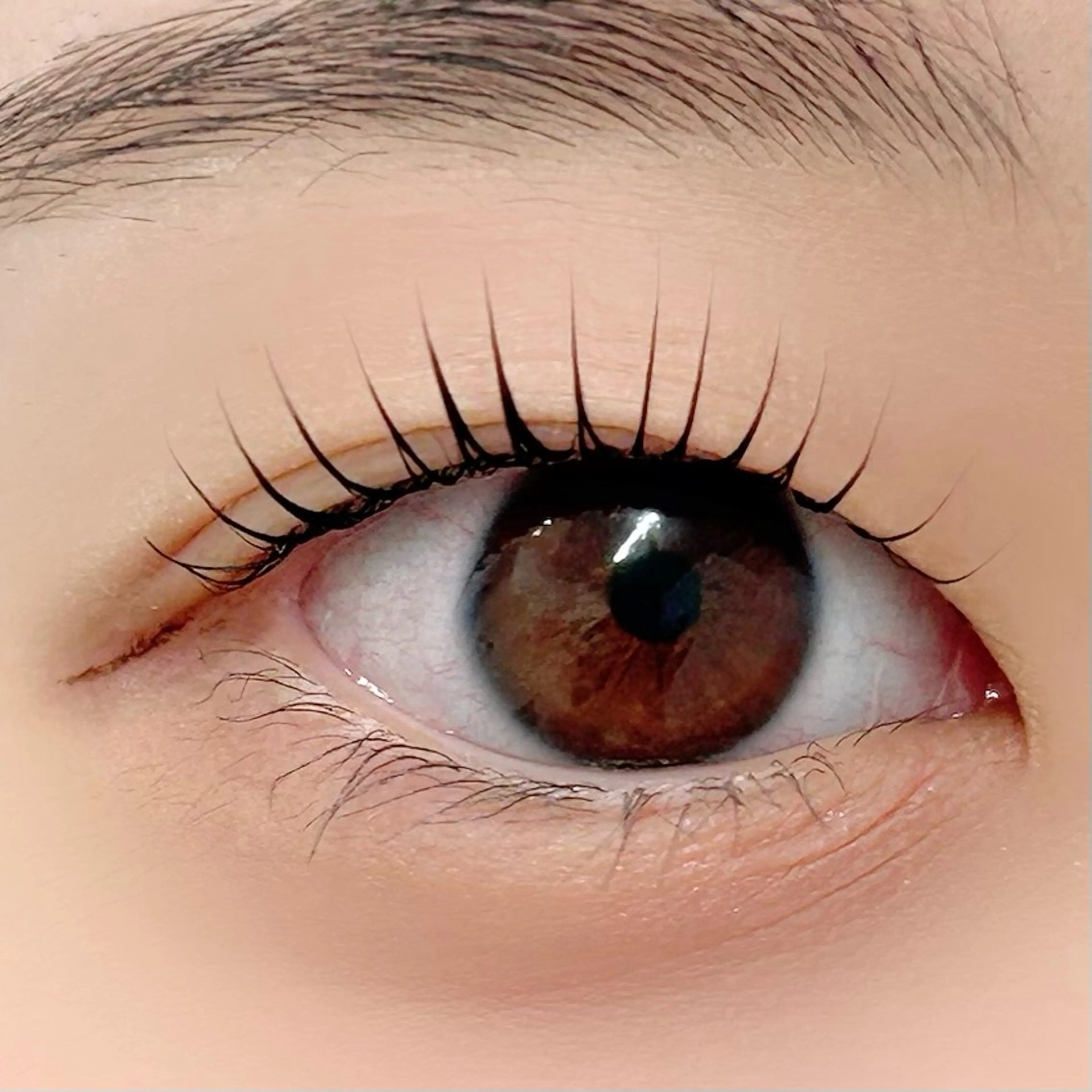 マツエク・マツパ パリジェンヌラッシュリフト 一重×まつ毛パーマ BellFlower Aki（眉・まつげ）のマツエク・マツパデザイン