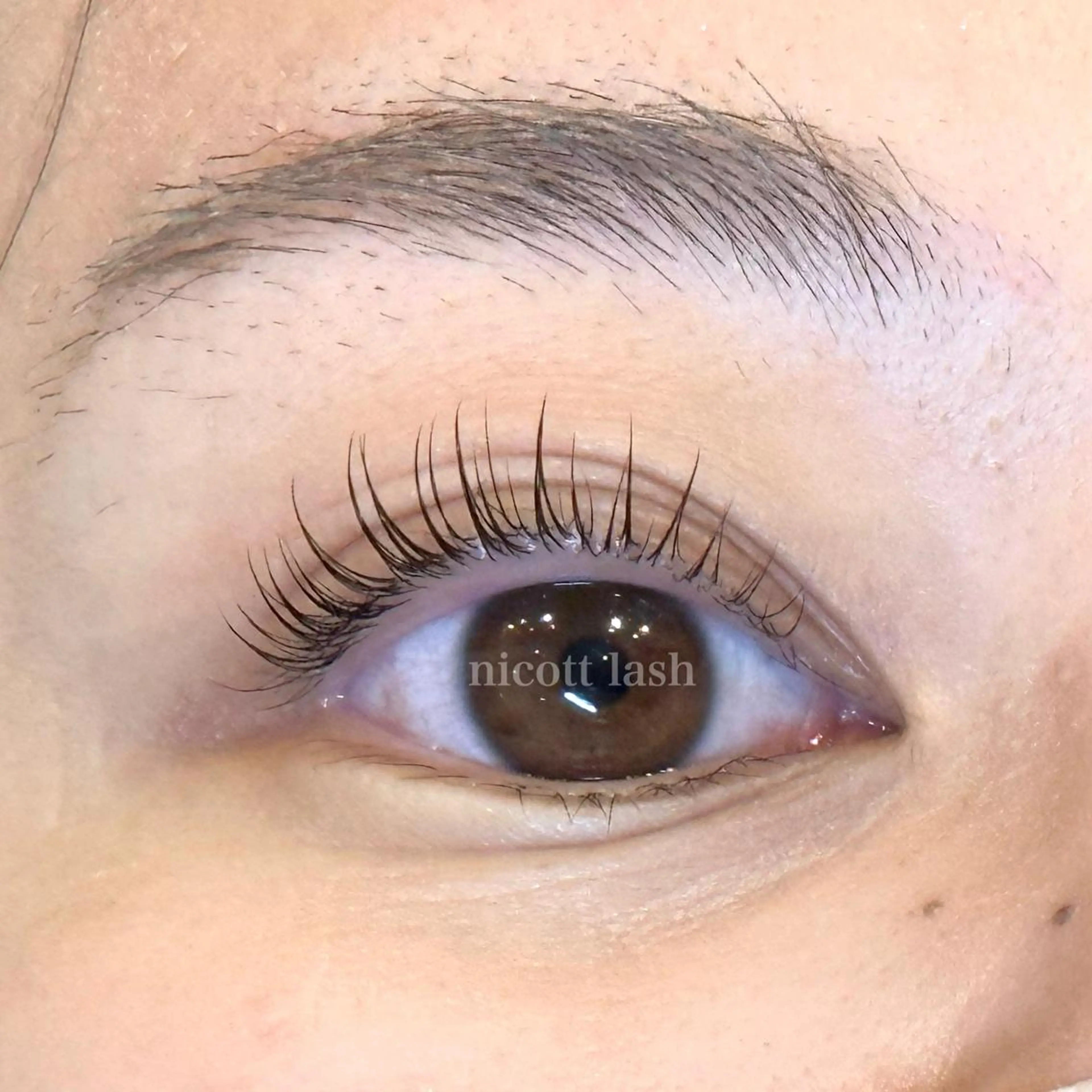 マツエク・マツパ nicott 篠田のマツエク・マツパデザイン