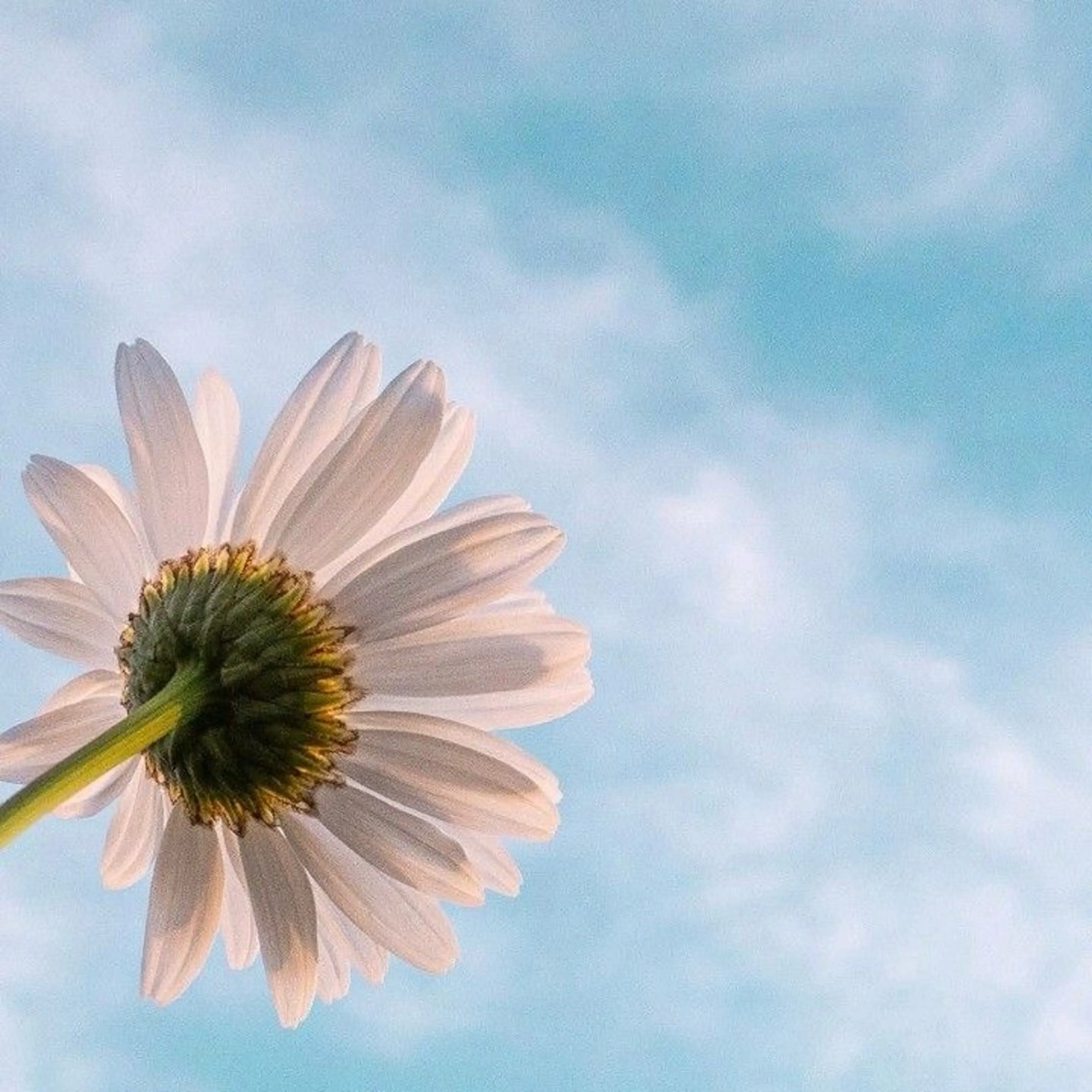 マツエク・マツパ 浦和駅近完全個室 Michikoのマツエク・マツパデザイン