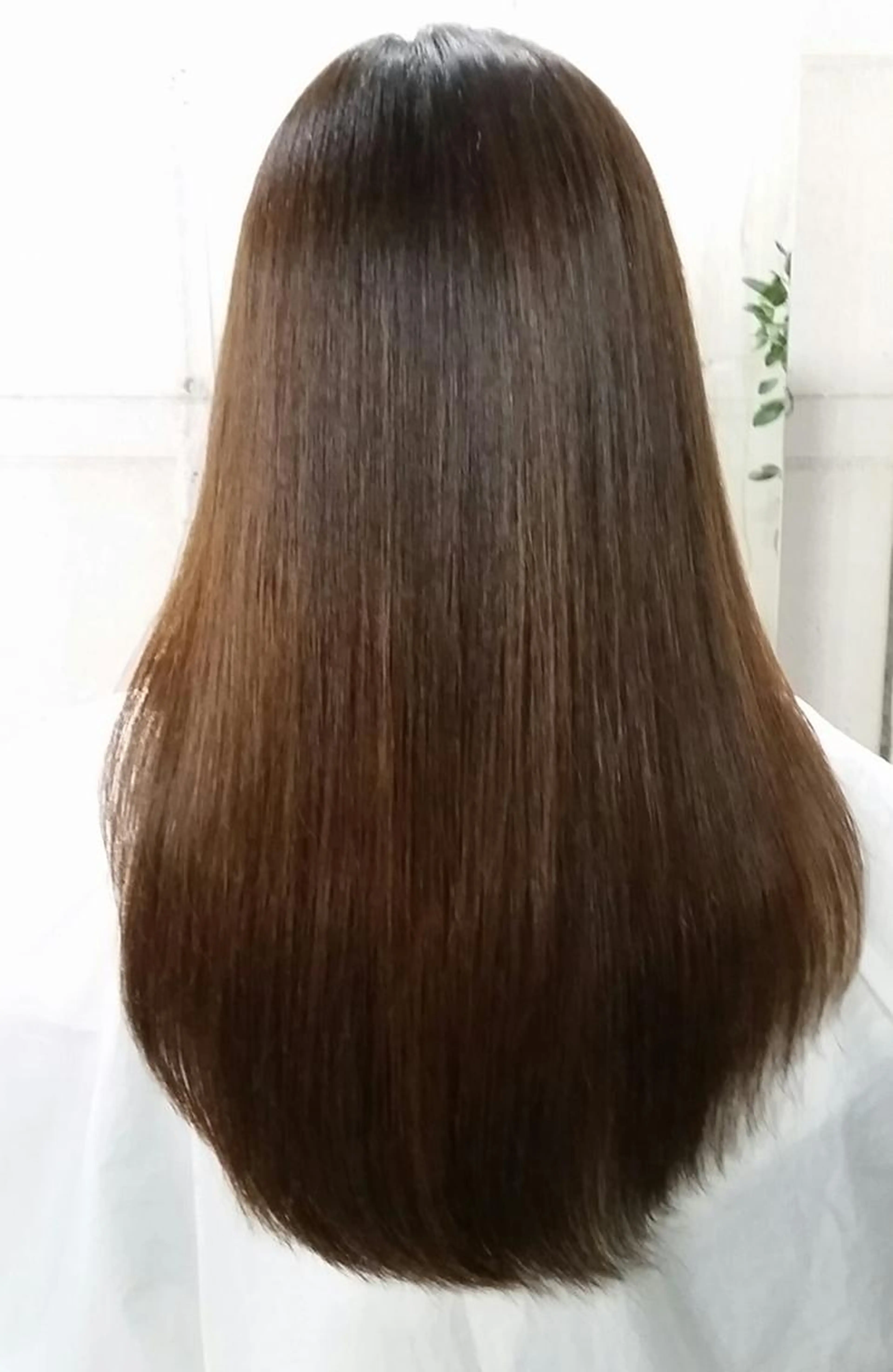 学生様限定 カット+縮毛矯正の写真