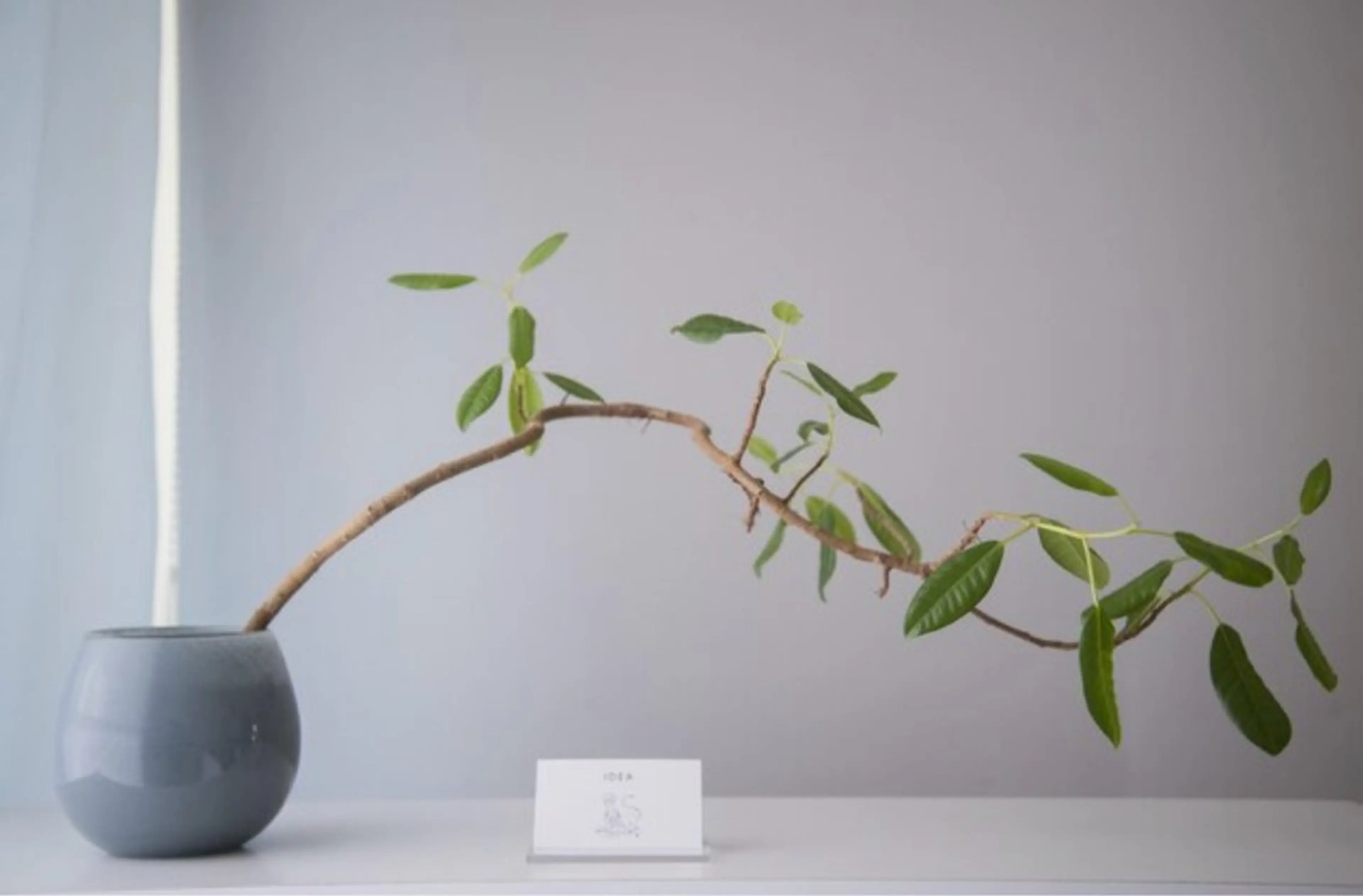 IDEA所属・IDEA イデアのエステ・リラクイメージ