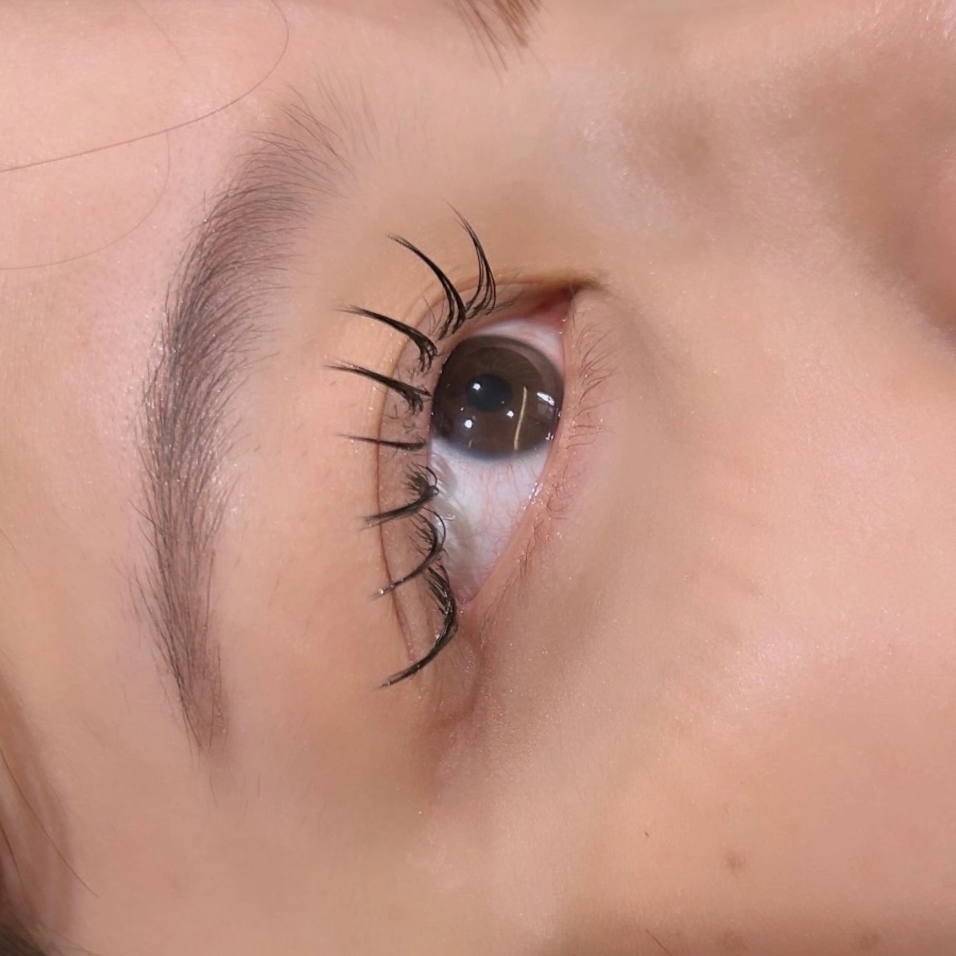 マツエク・マツパ マツエク hair&eye🎀 /momoKaのマツエク・マツパデザイン