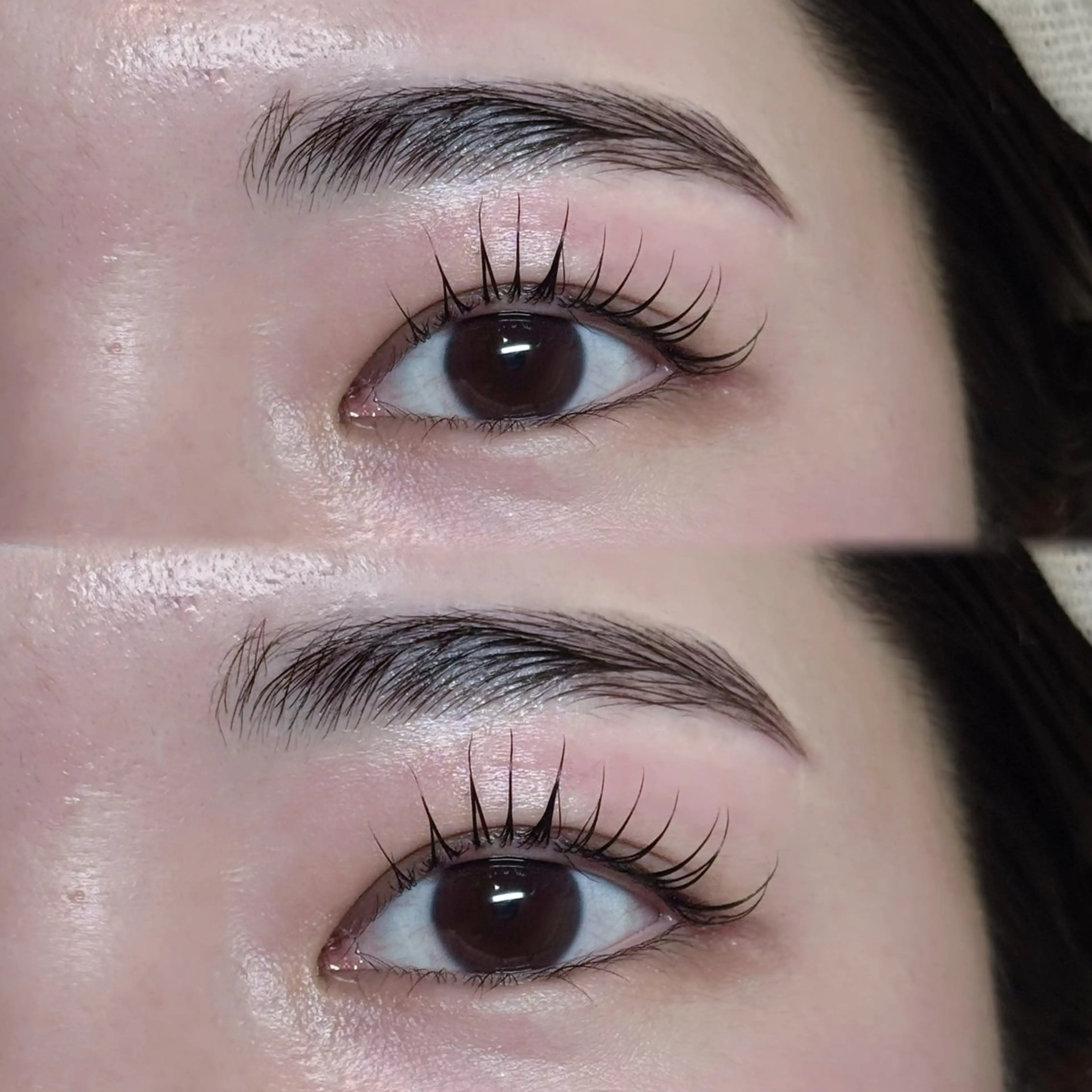 ꒰ ミニモ限定 ꒱　まつげパーマ&アイブロウスタイリングwax込🌿の写真