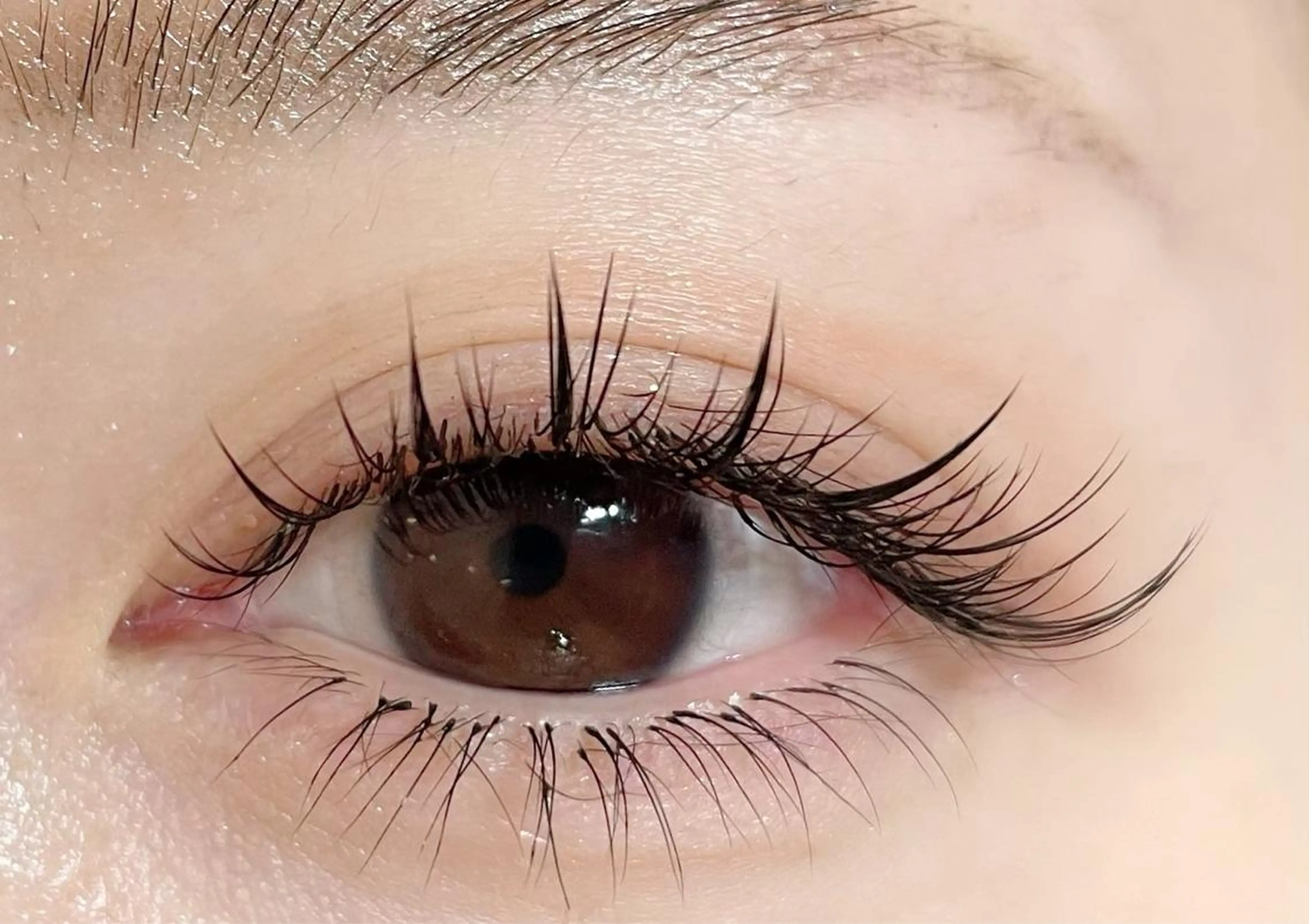 マツエク・マツパ 下まつげエクステ ワンホンマツエク マツエク HARIS店長🦋 Ishiguroのマツエク・マツパデザイン