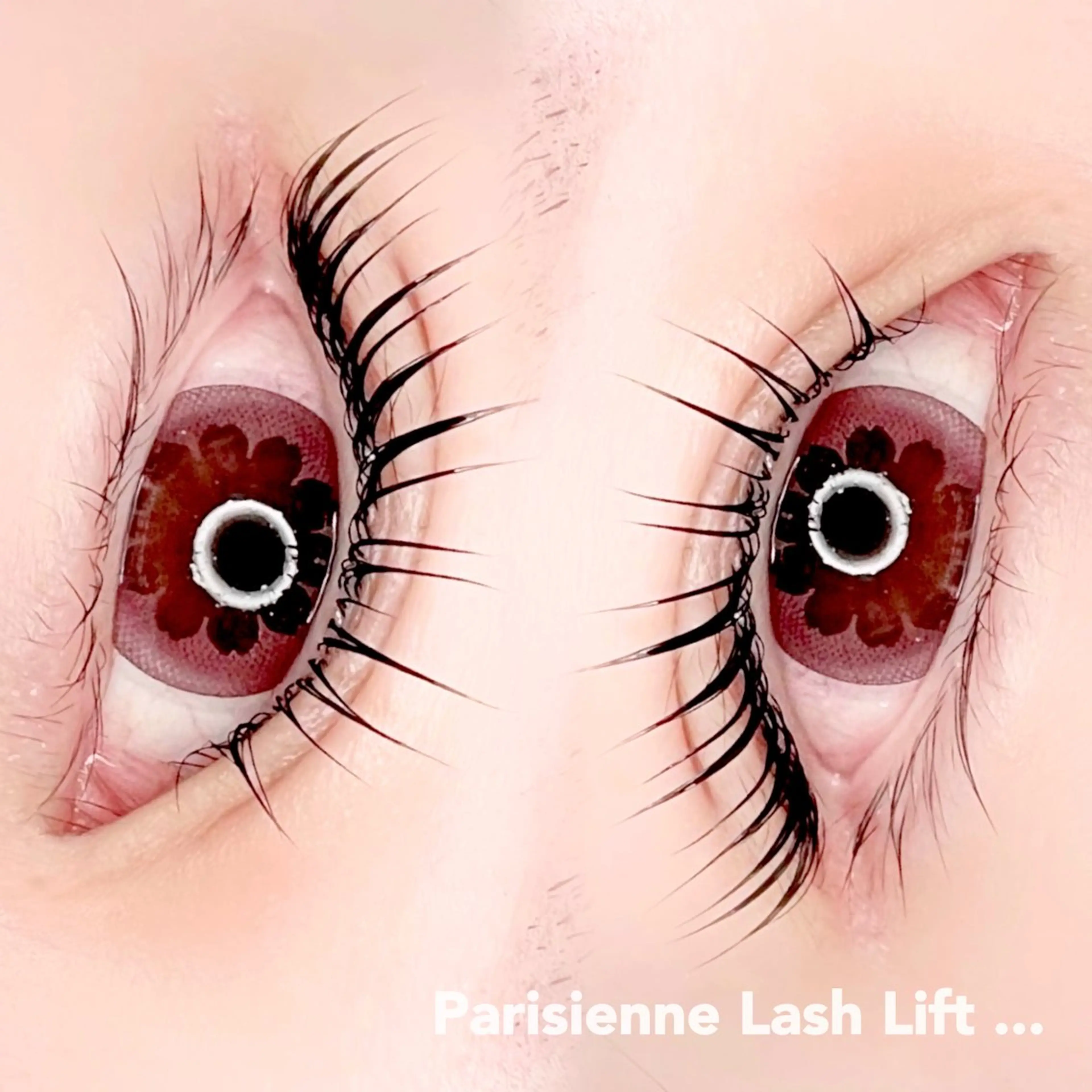 パリジェンヌラッシュリフトの写真