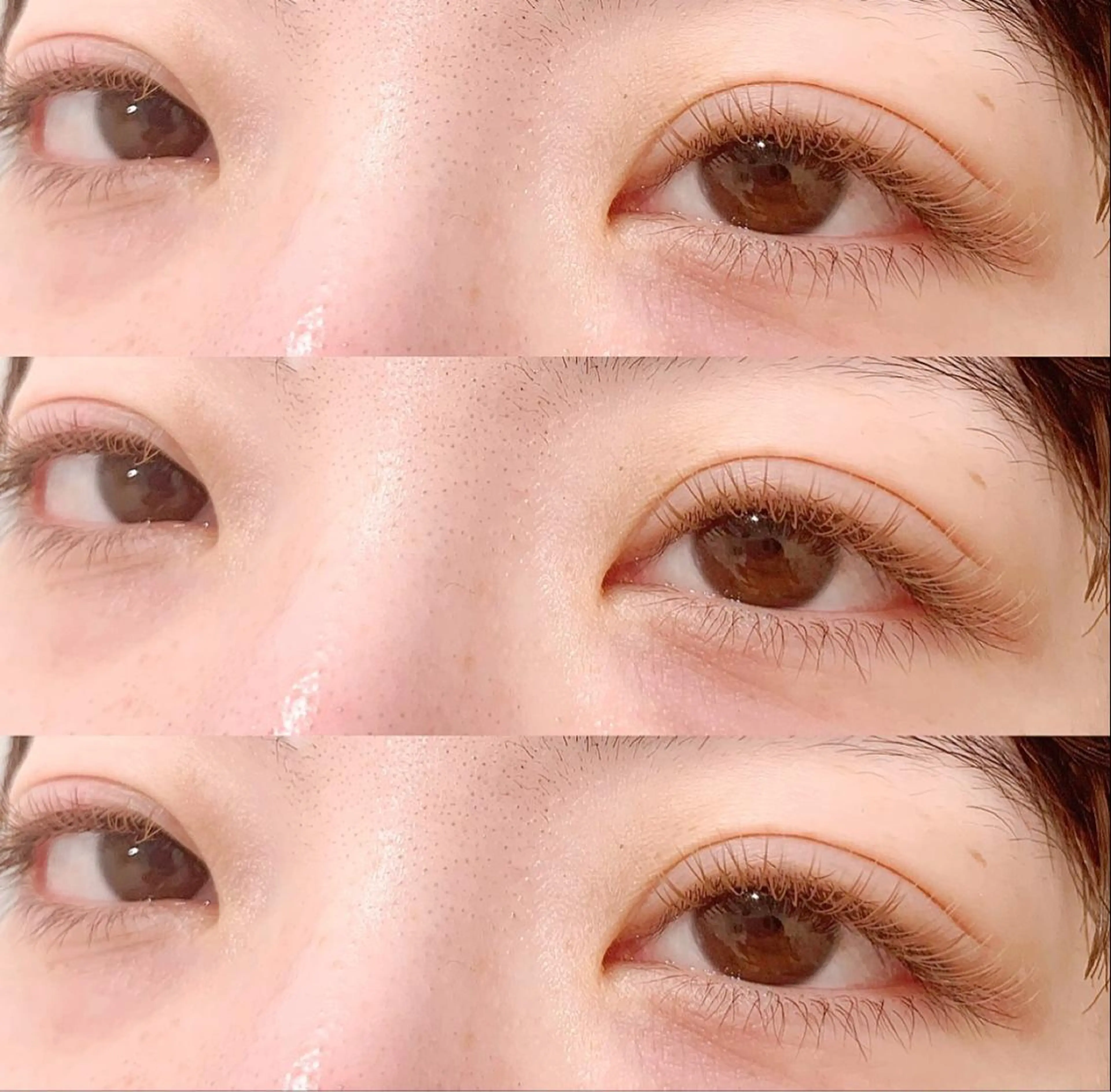 ãããšã¯ã»ããã ã«ã©ãŒãããšã¯ ãã©ããã©ãã·ã¥ ãããšã¯ charmeisæå±ã». mihoã®ãããšã¯ã»ããããã¶ã€ã³