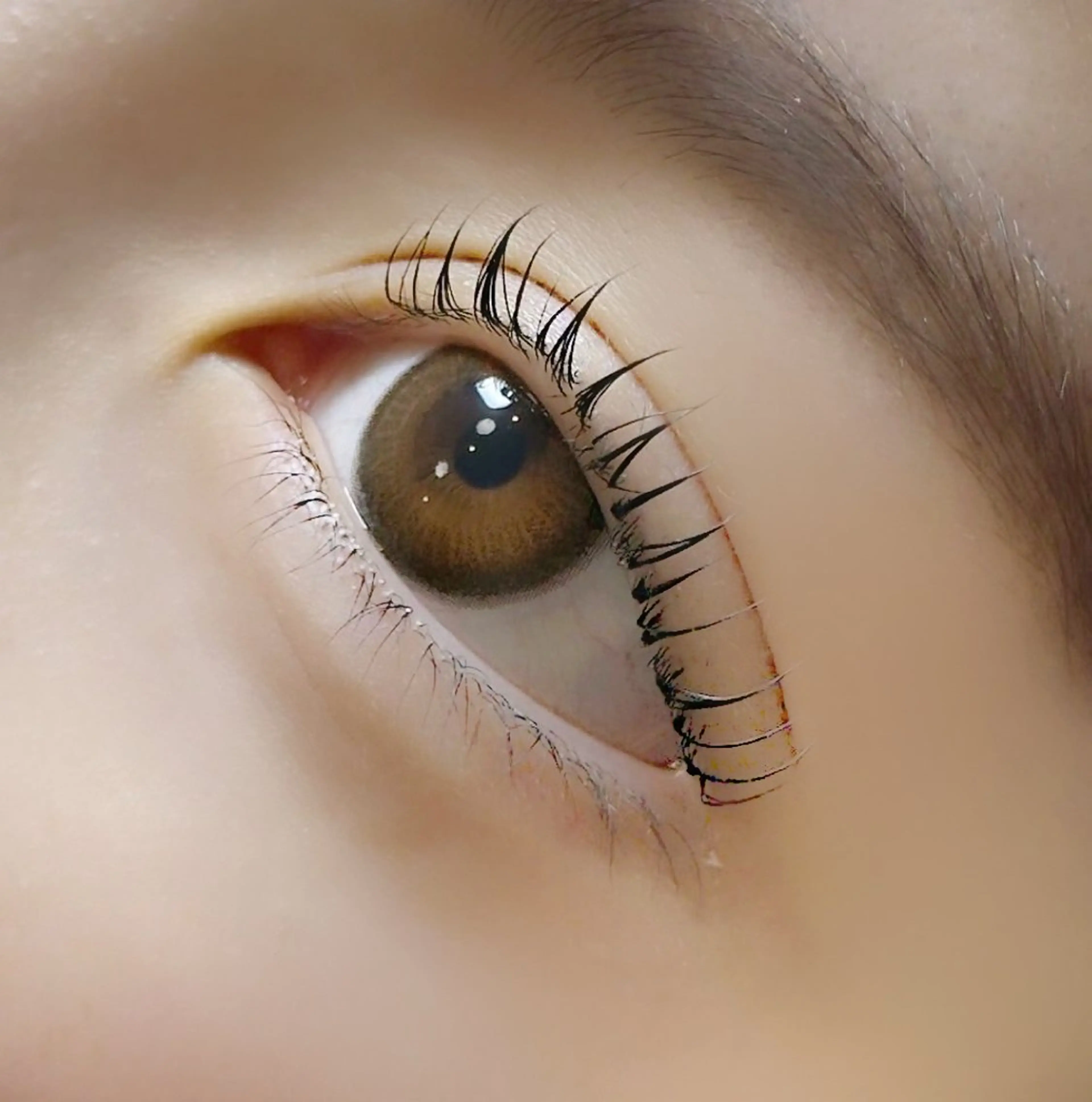 まつ毛パーマの写真