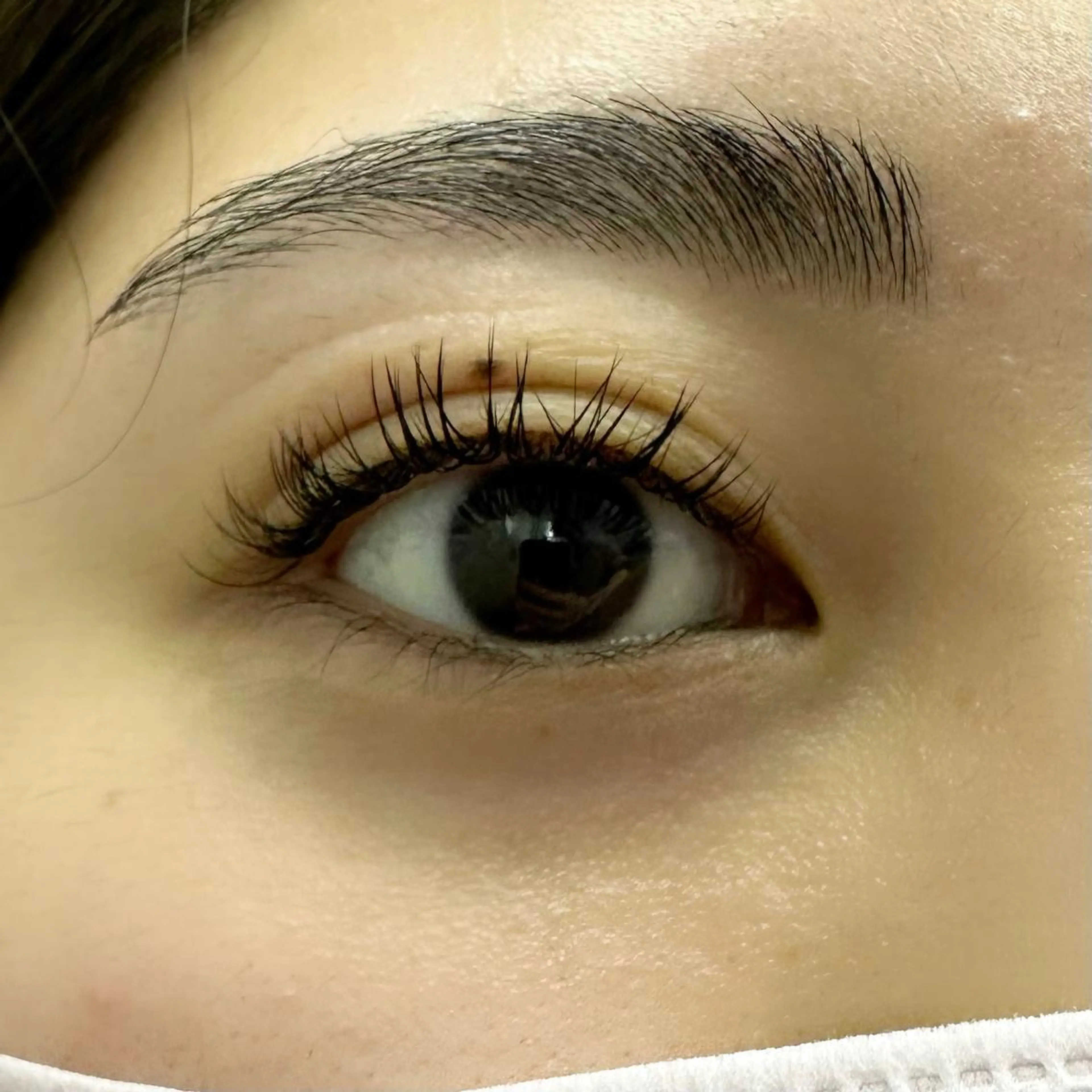 マツエク・マツパ Cカール Miyu🦄ash メンズカット/まつげのヘアスタイル