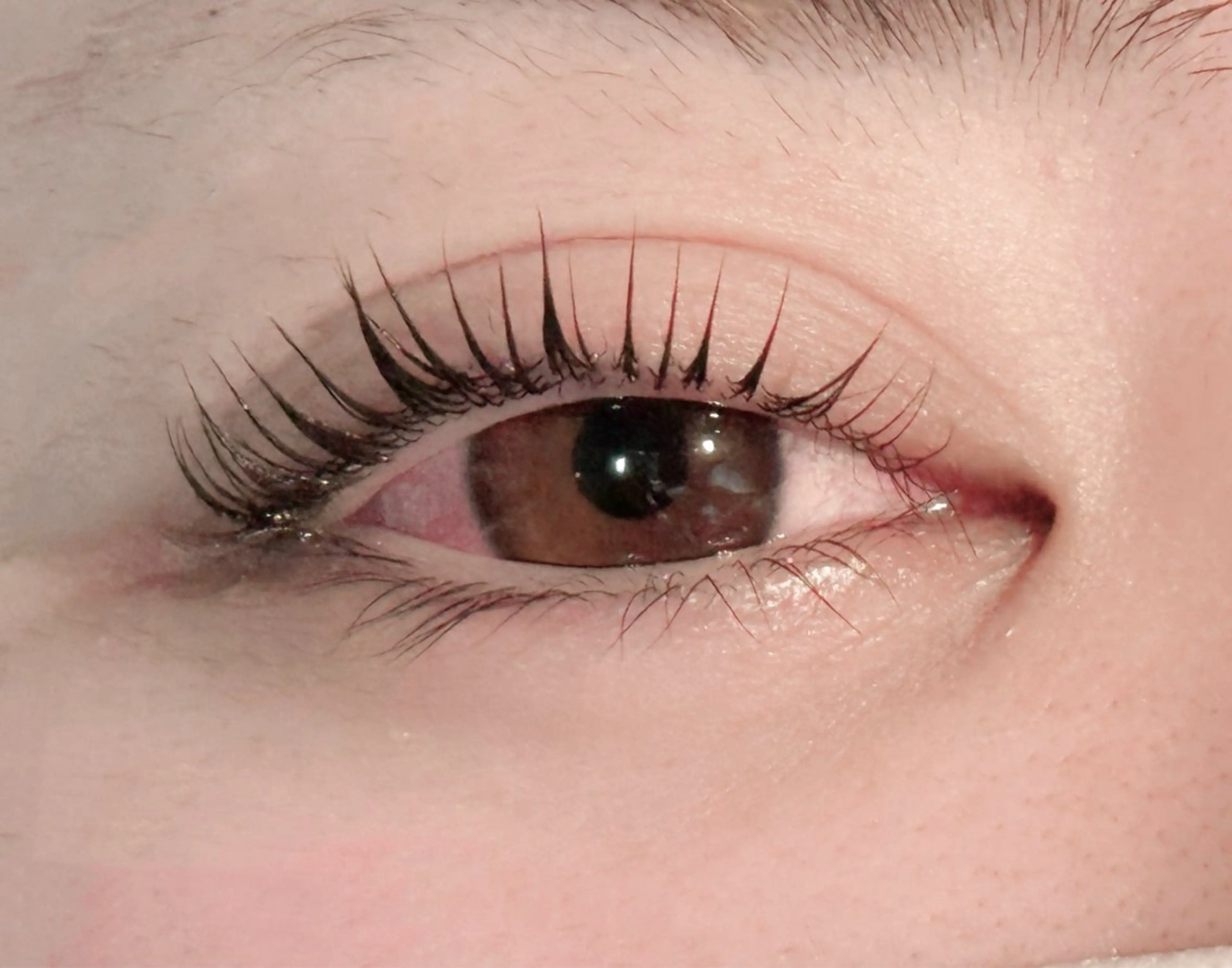 まつげパーマの写真