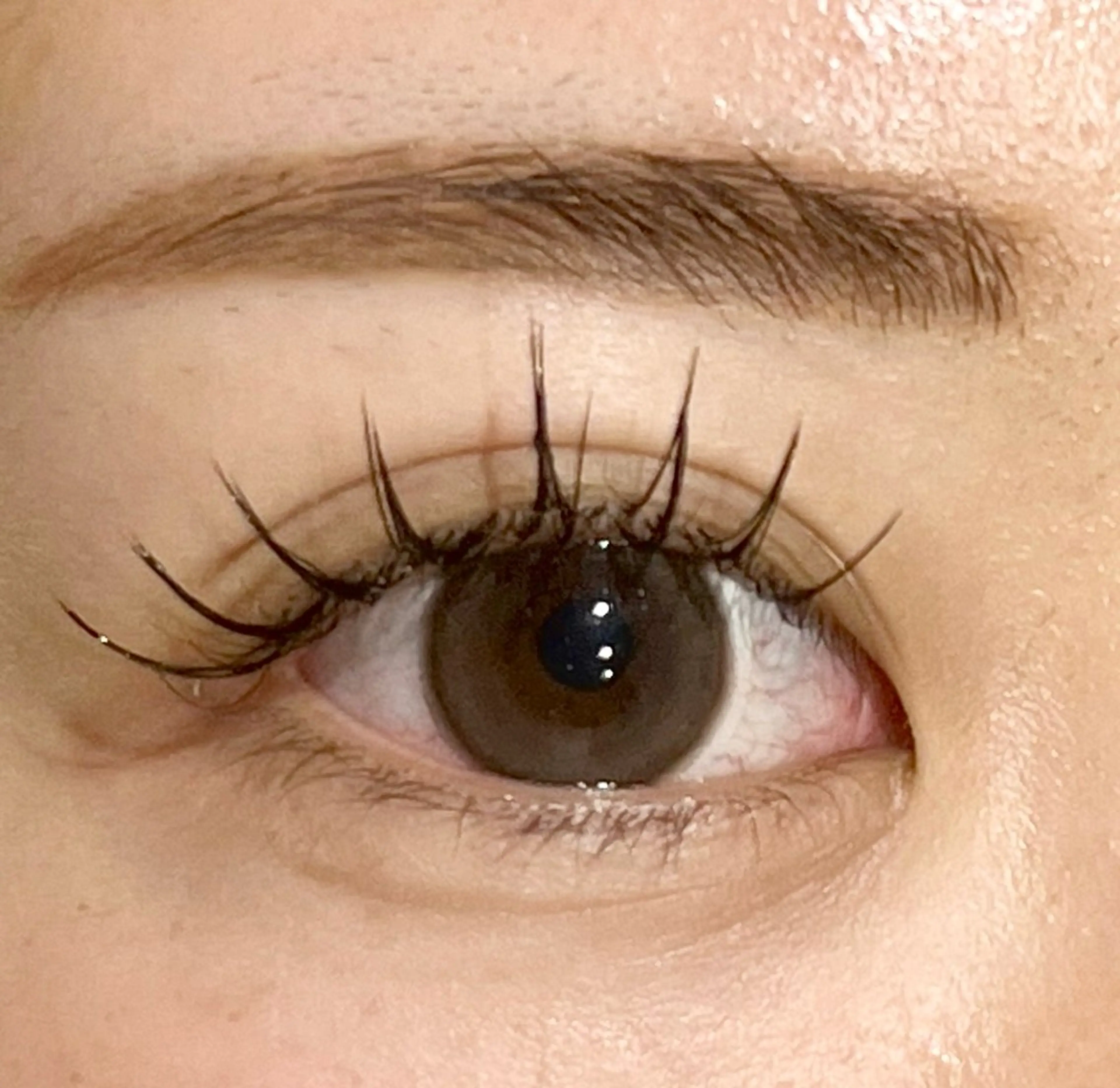 🩷セーブルフラットラッシュ/上120本迄【オフなし】※本数追加(¥1000/20本)の写真