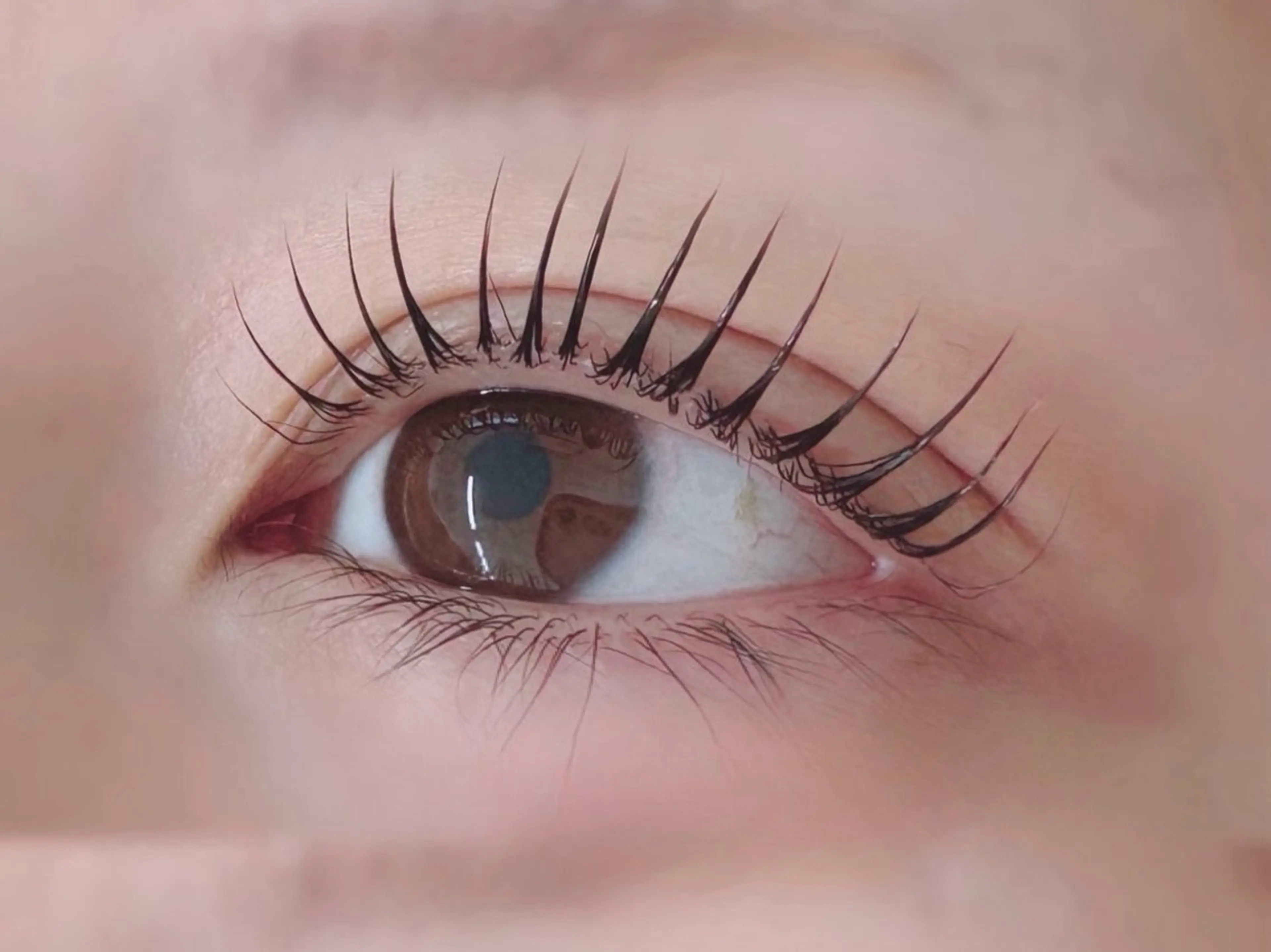 似合わせまつ毛パーマの写真