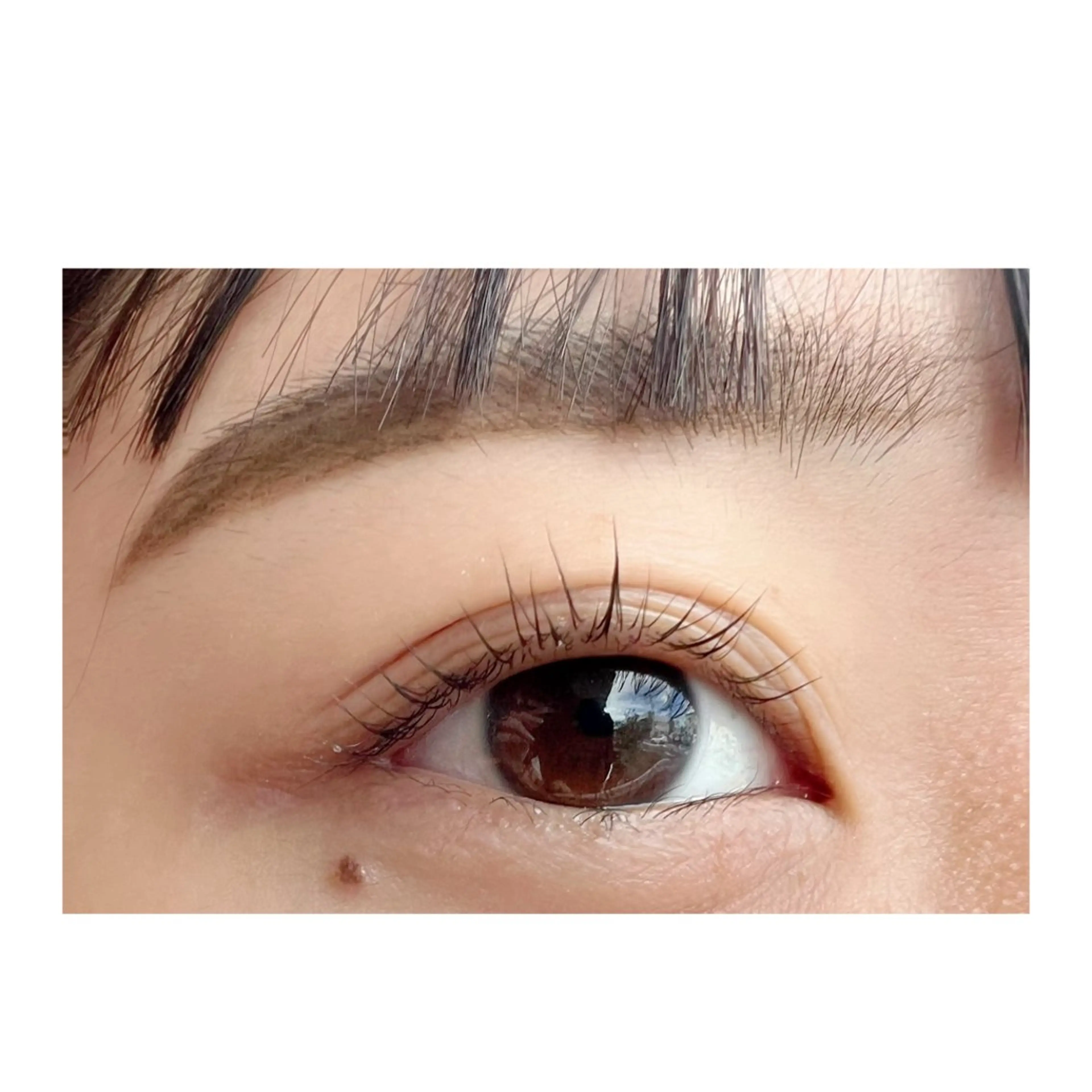 マツエク・マツパ rukuku🌼Ui まつパ/眉毛Waxのマツエク・マツパデザイン