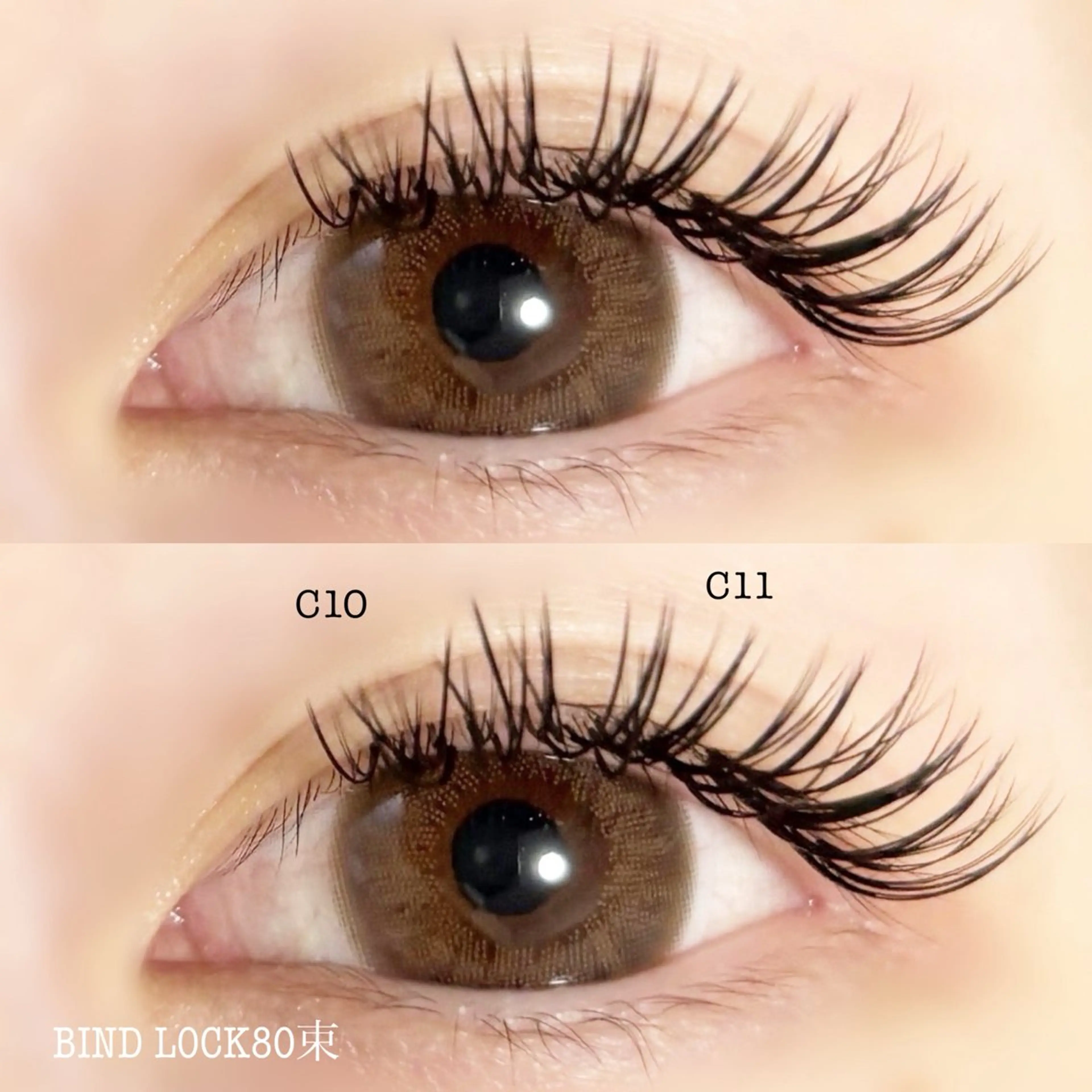 バインドロック100束(オフ込み)の写真