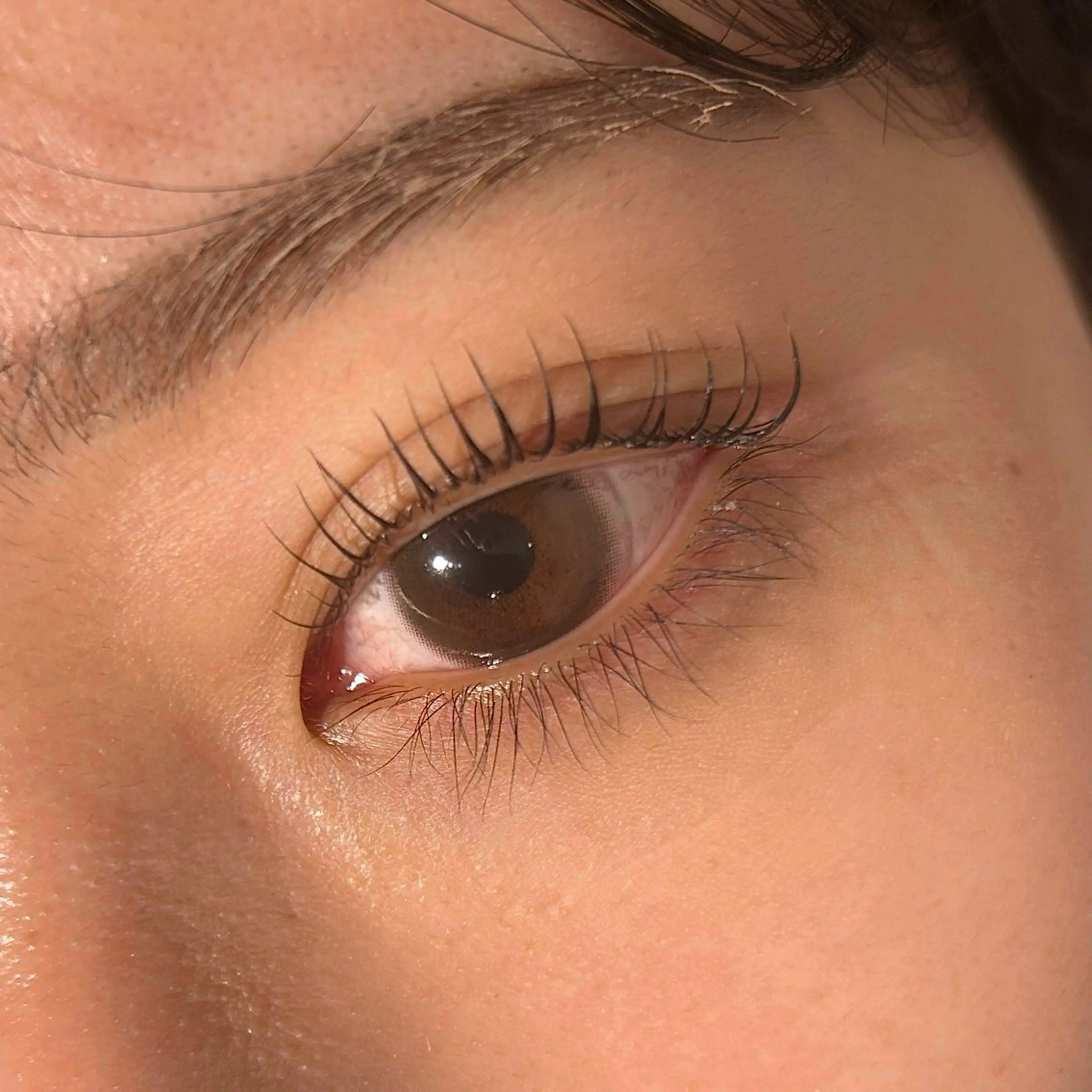 【新規限定】まつげパーマ トリートメント付きの写真