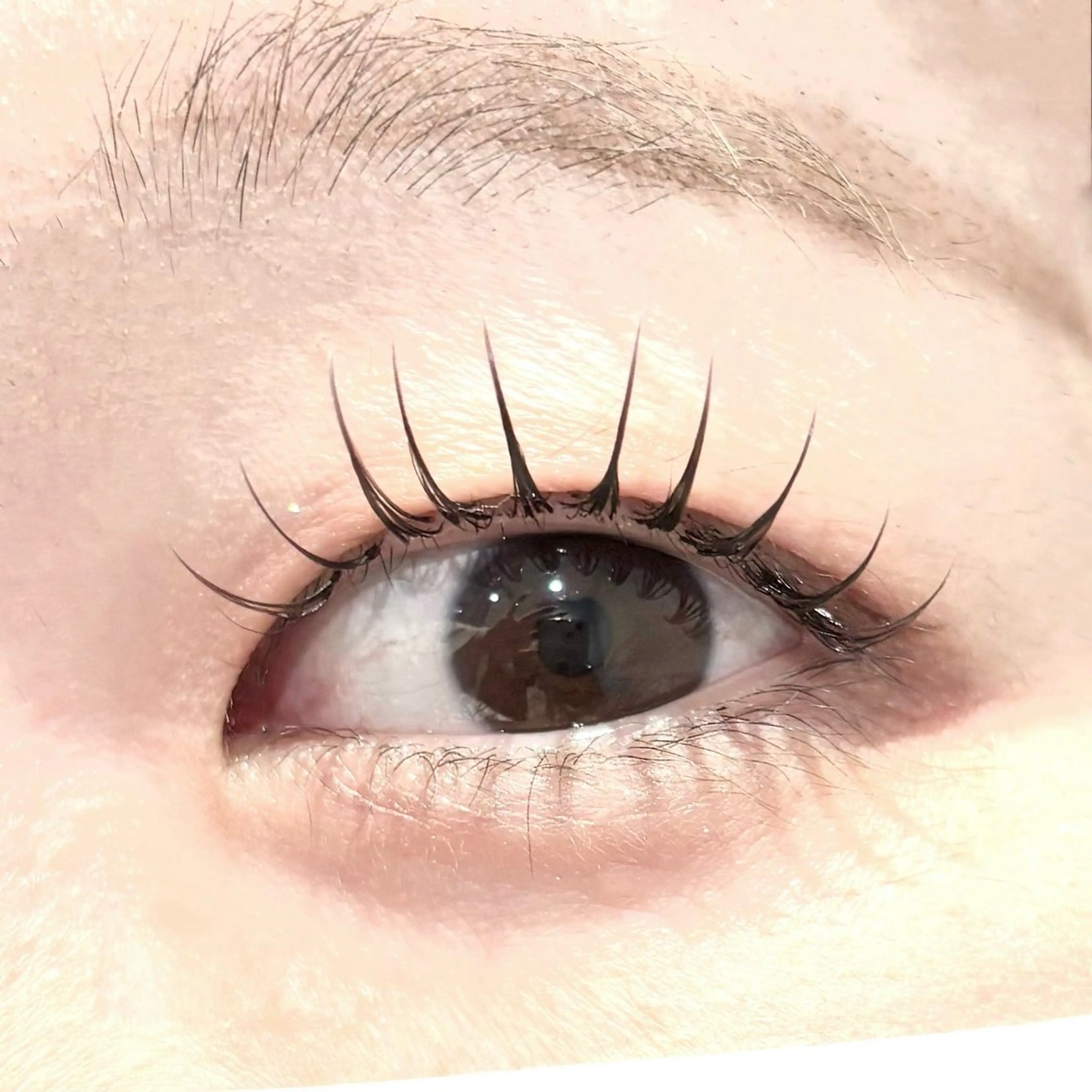 マツエク・マツパ ナチュラル マツエク 🤍Lia Dejima🤍🪄のマツエク・マツパデザイン