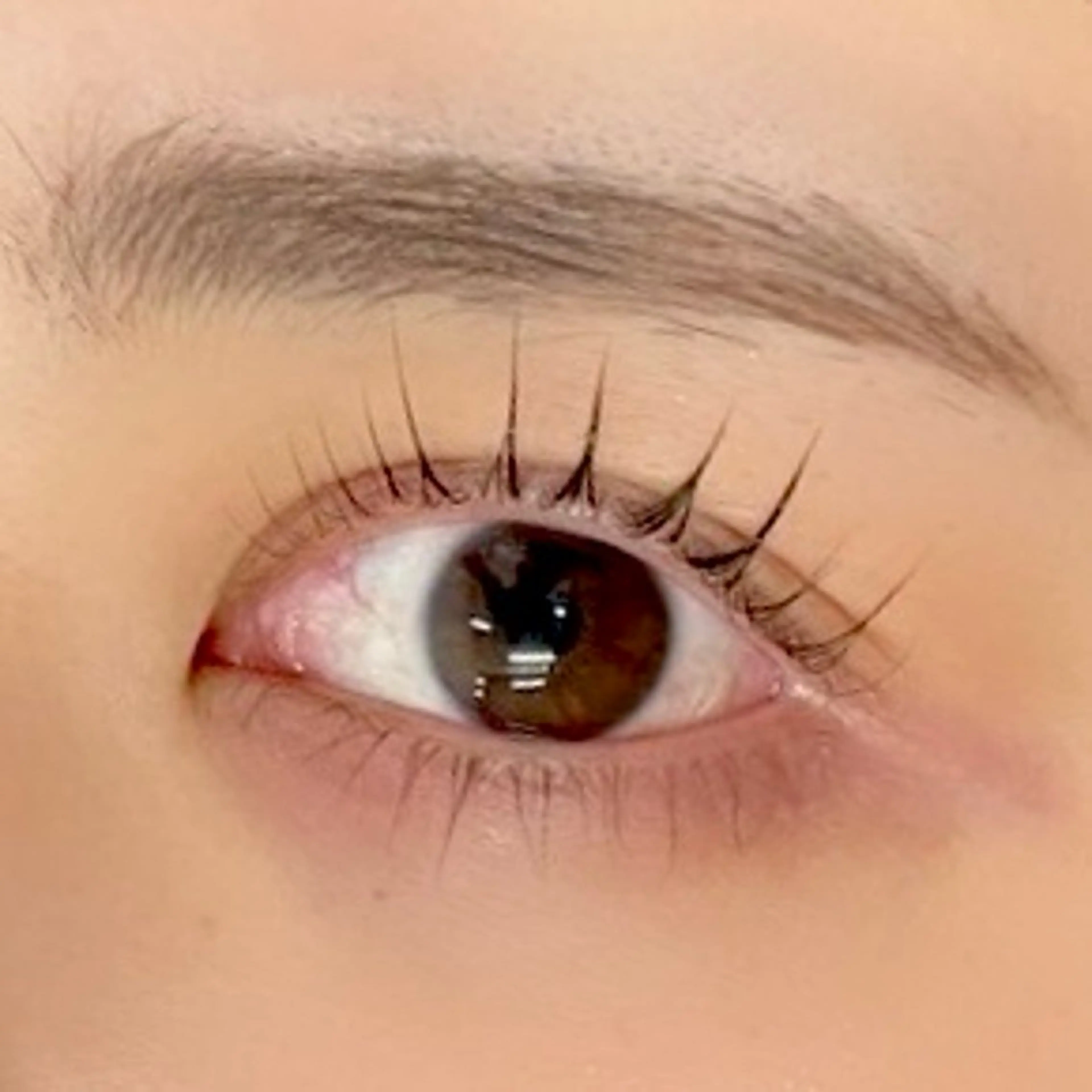 マツエク・マツパ ジュエル.《まつげ》 モデル様募集中のマツエク・マツパデザイン