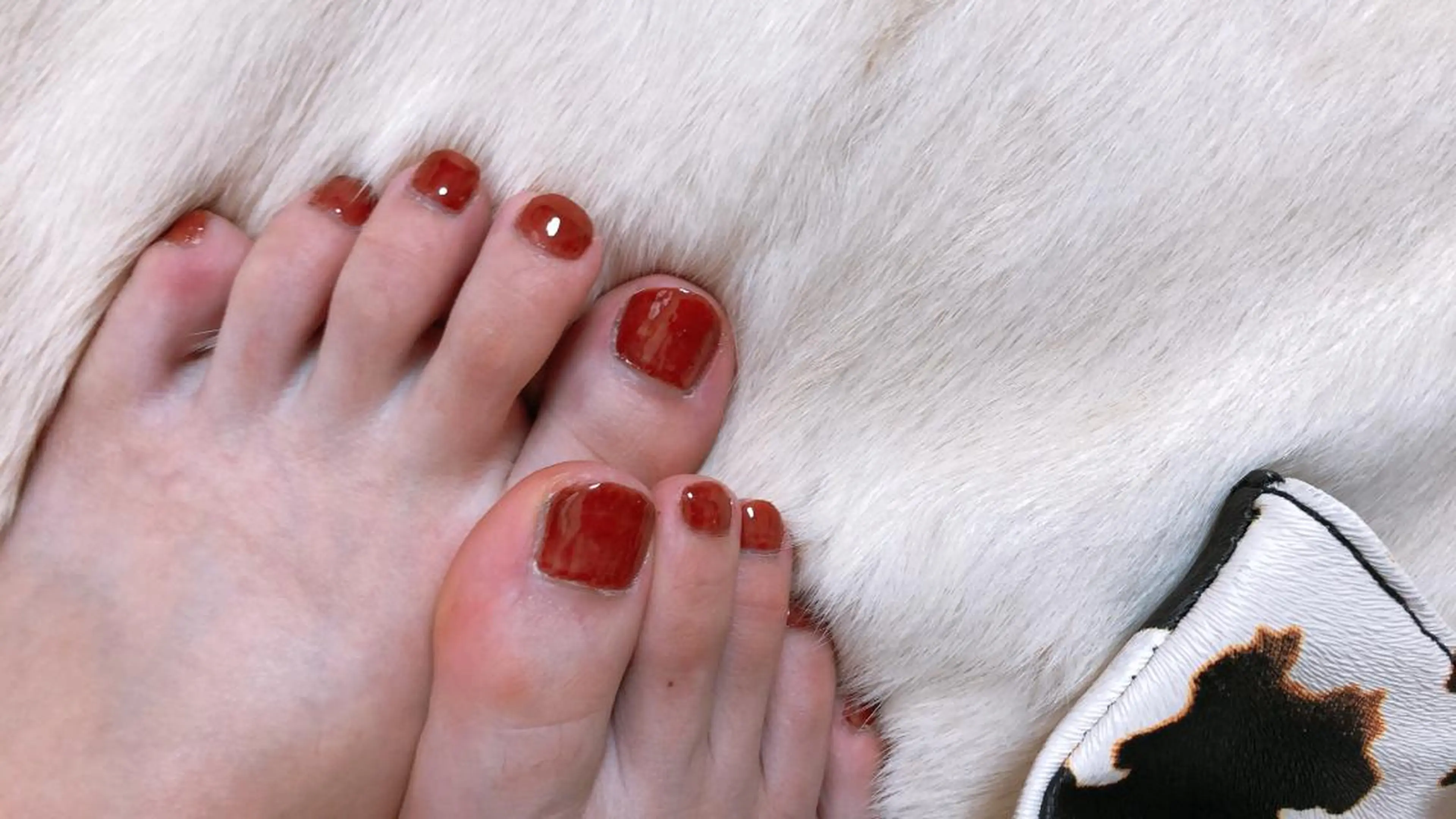 ネイル ボルドー ワンカラーネイル 赤色 felice nailのネイルデザイン