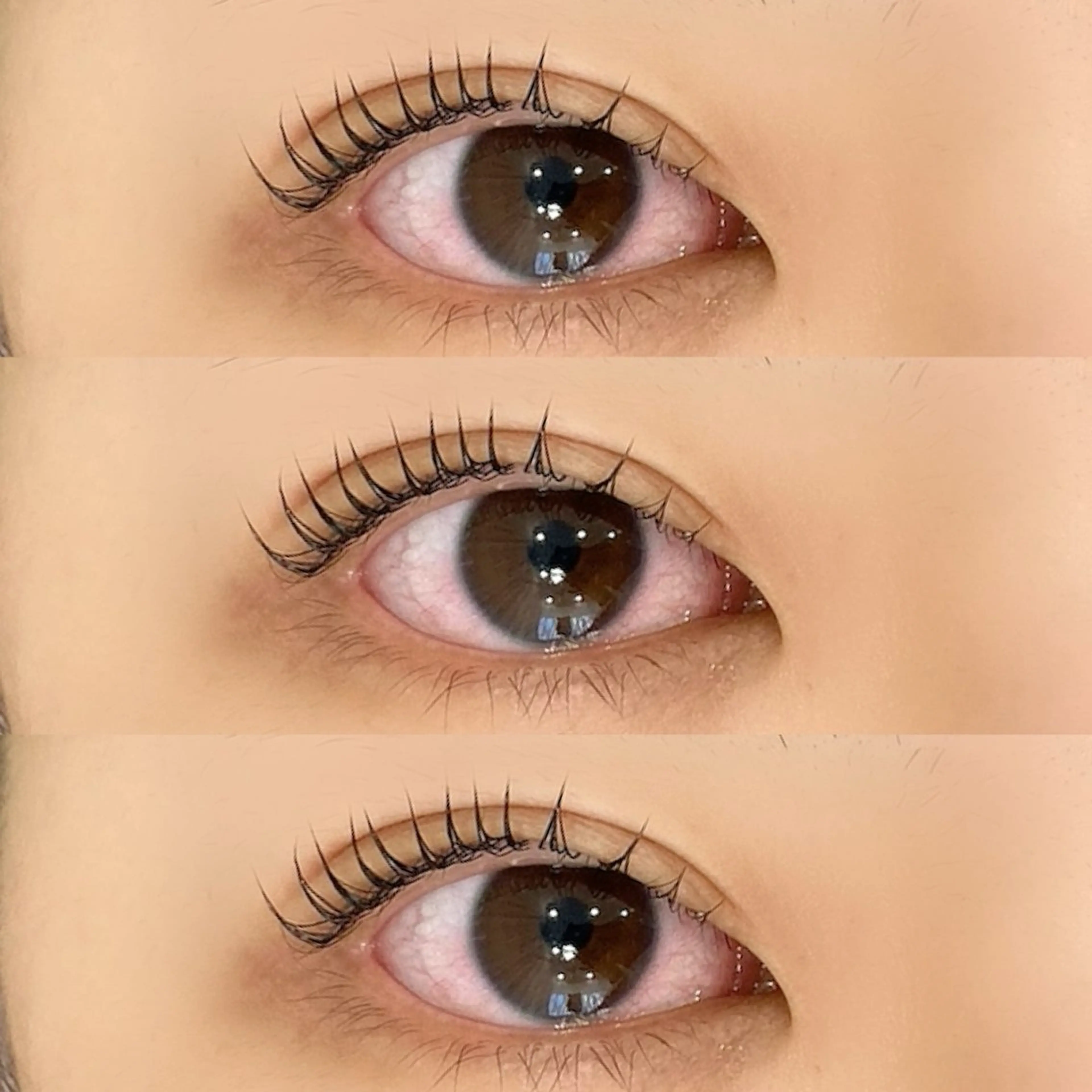 ãããšã¯ã»ããã ããã oriharað ãŸã€ãããŒã/çæ¯ã®ãããšã¯ã»ããããã¶ã€ã³