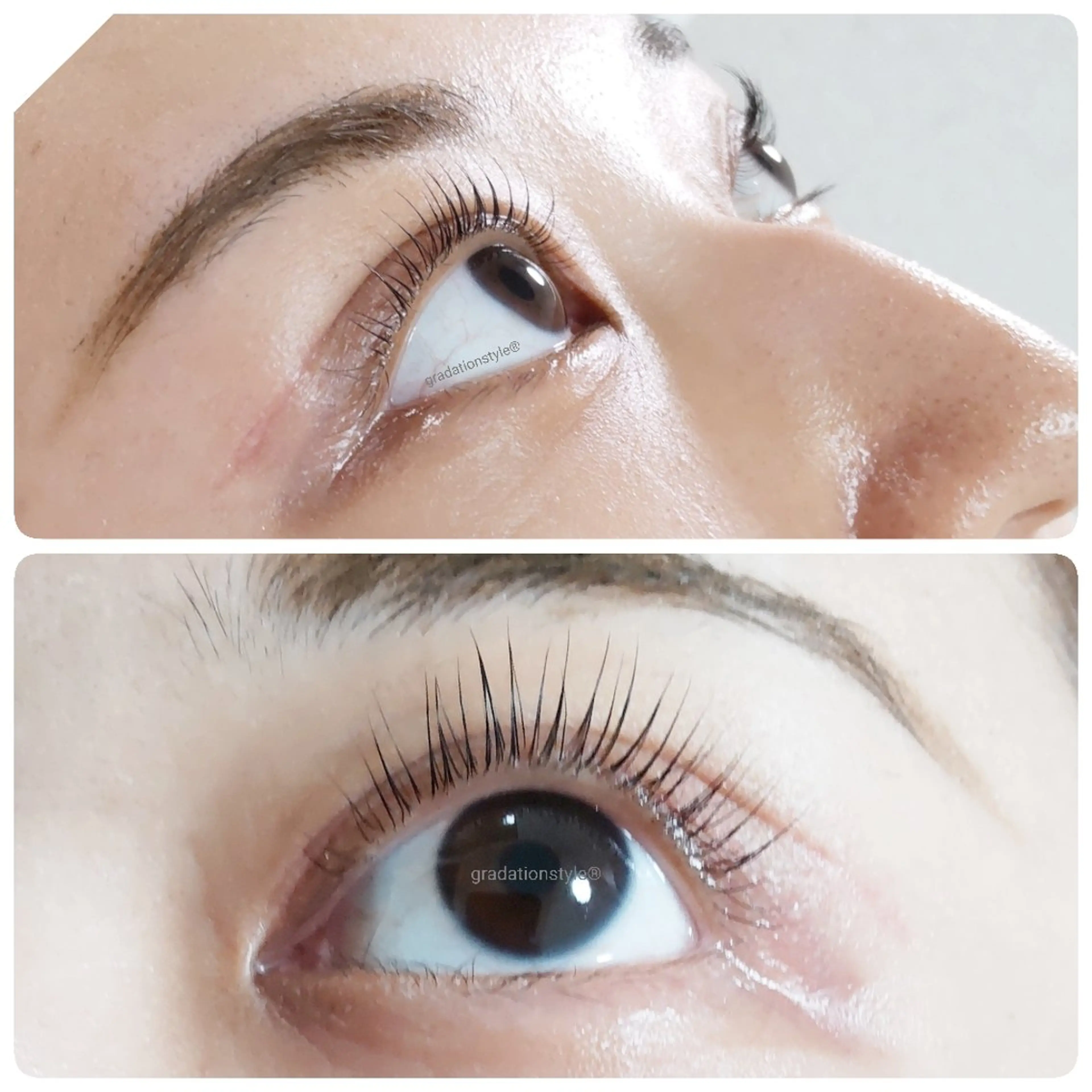 マツエク・マツパ 🎼グラデーション スタイル札幌♫*⁠✧のマツエク・マツパデザイン