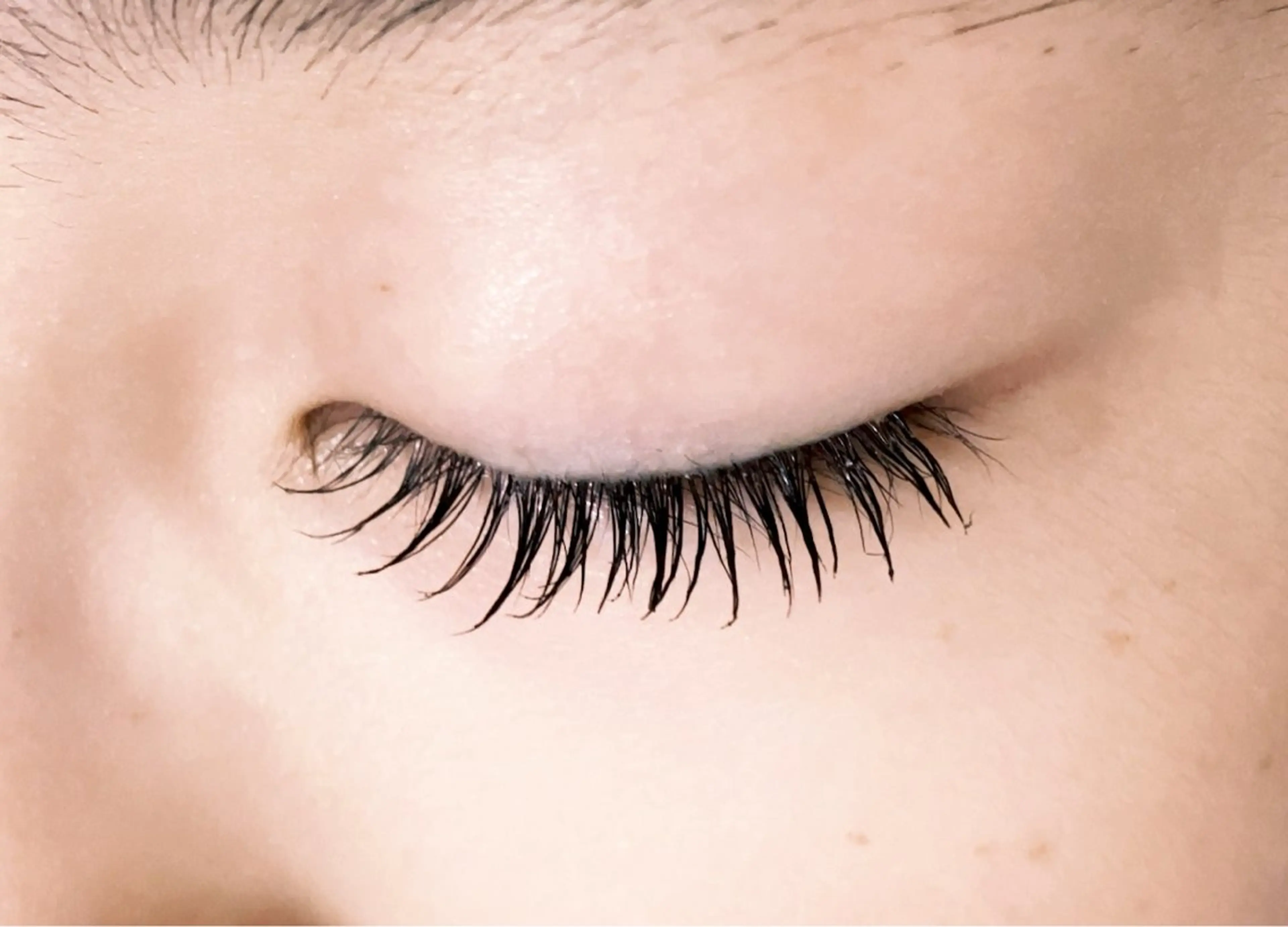 まつ毛エクステつけ放題の写真