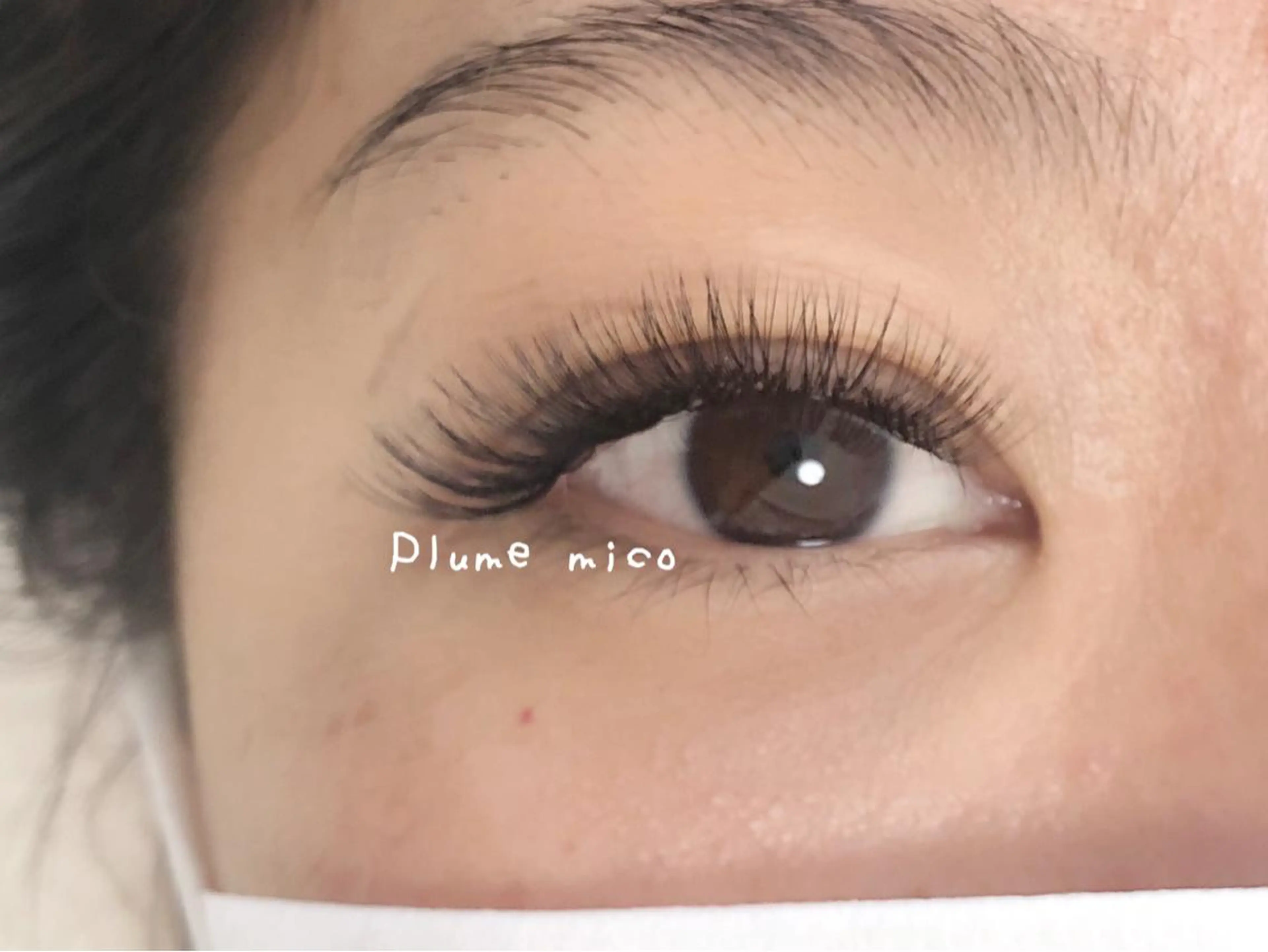 マツエク・マツパ マツエク Plume micoのマツエク・マツパデザイン