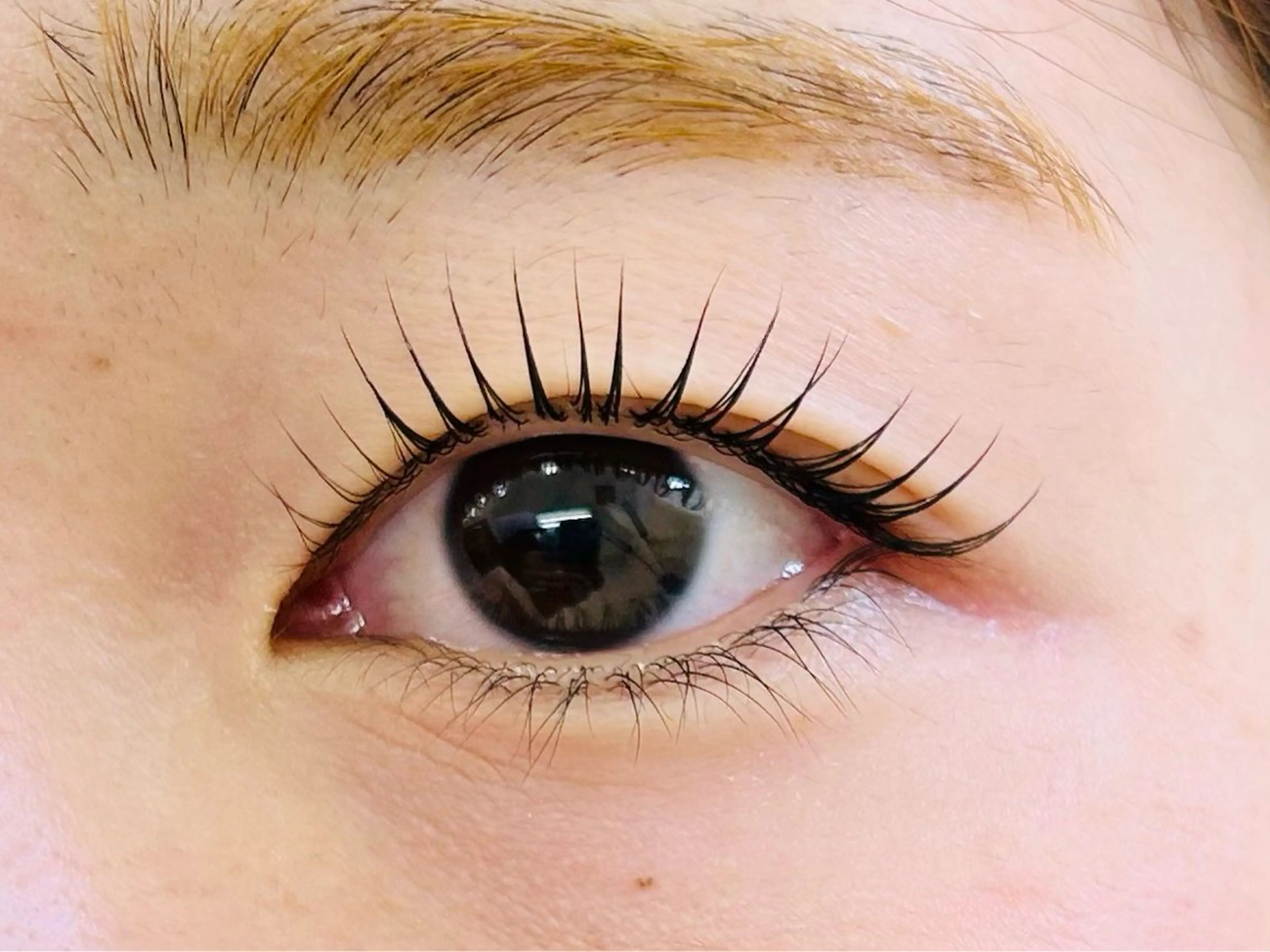 マツエク・マツパ マツパ Miroir Sunadaの眉毛・アイブロウイメージ