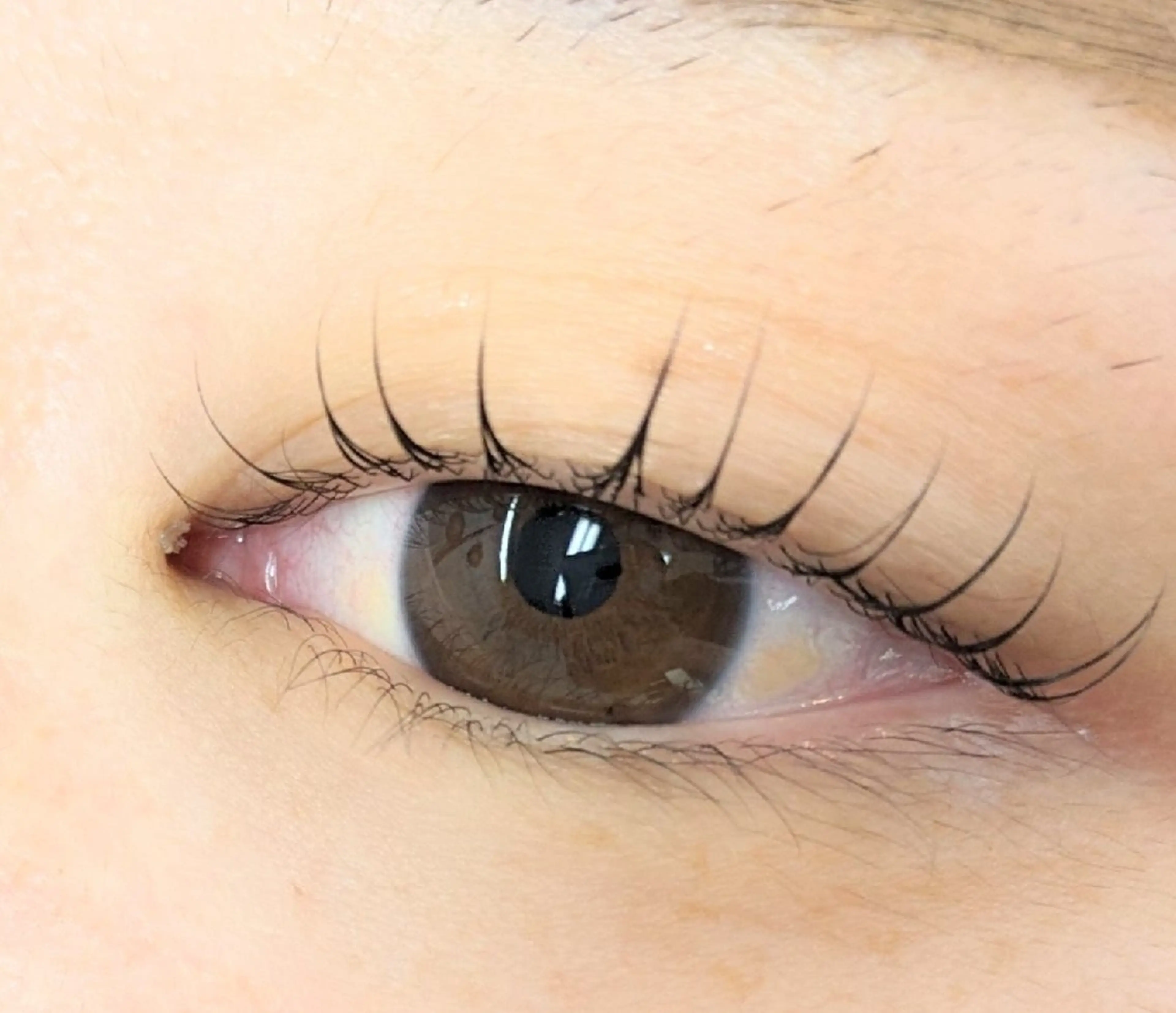 マツエク・マツパ 一重×まつ毛パーマ マツパ 《amii》 ☆さいとうのマツエク・マツパデザイン