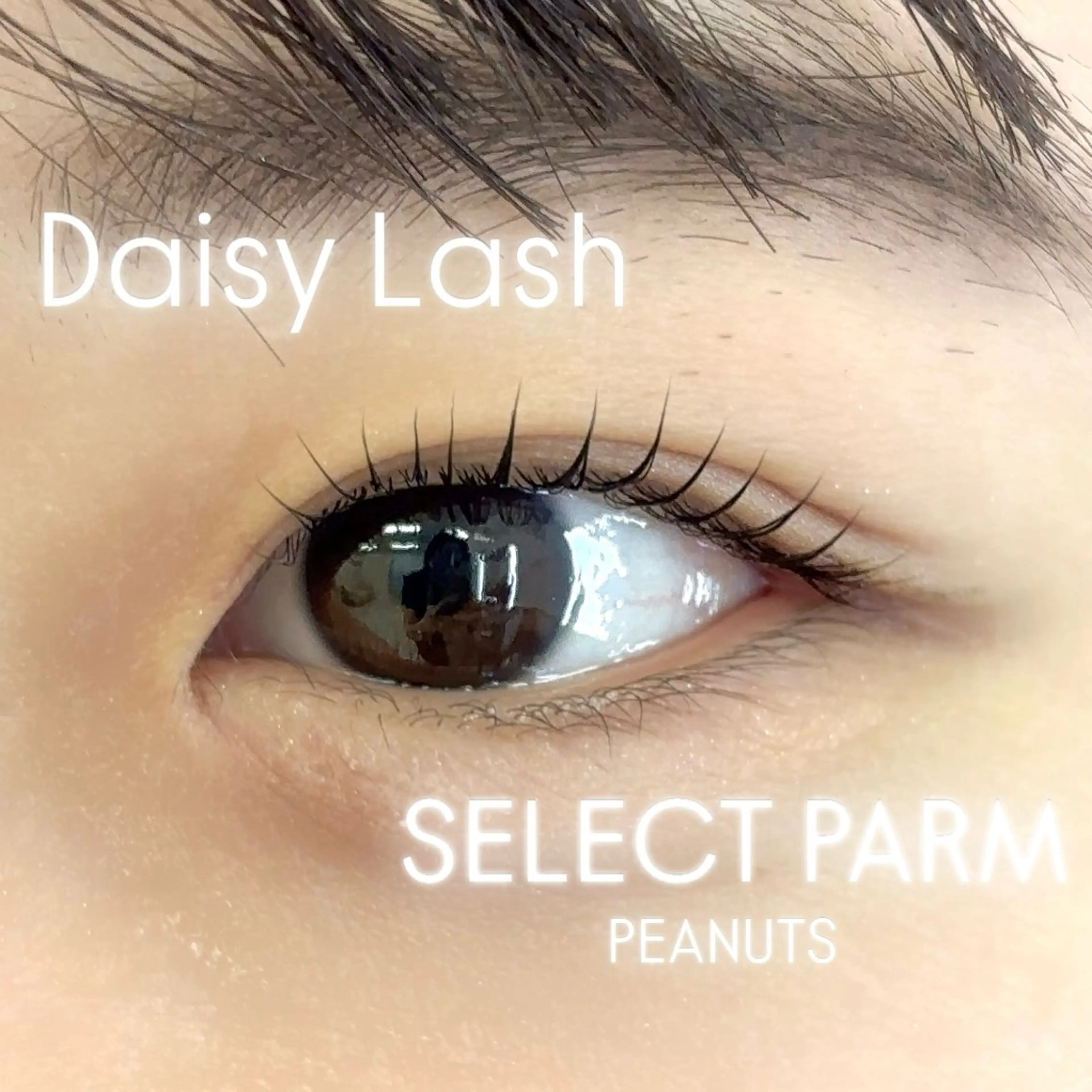 マツエク・マツパ 一重×まつ毛パーマ Daisy Lash たかとり みうのマツエク・マツパデザイン