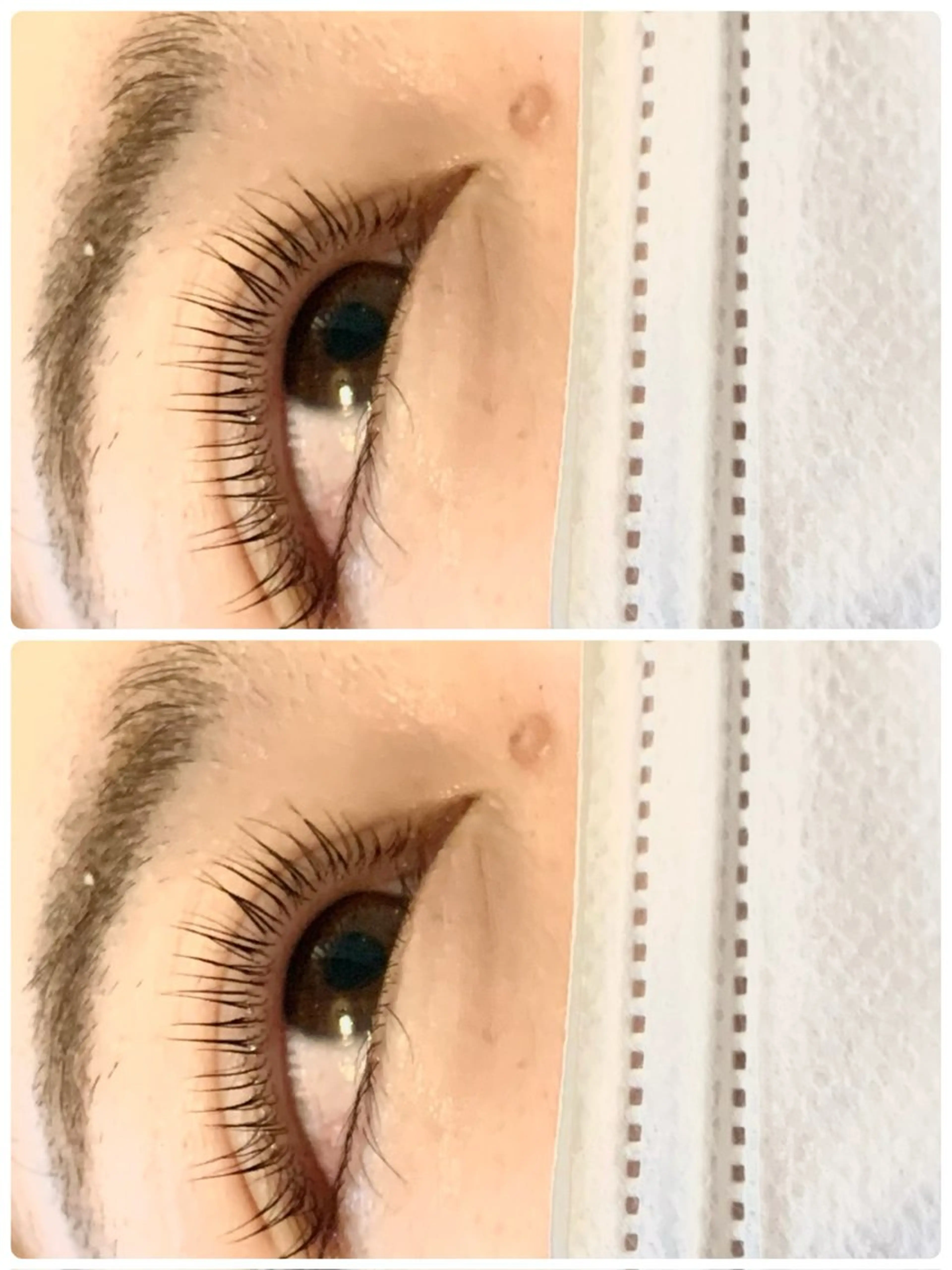 パリジェンヌラッシュリフト➕美容液コーティングの写真