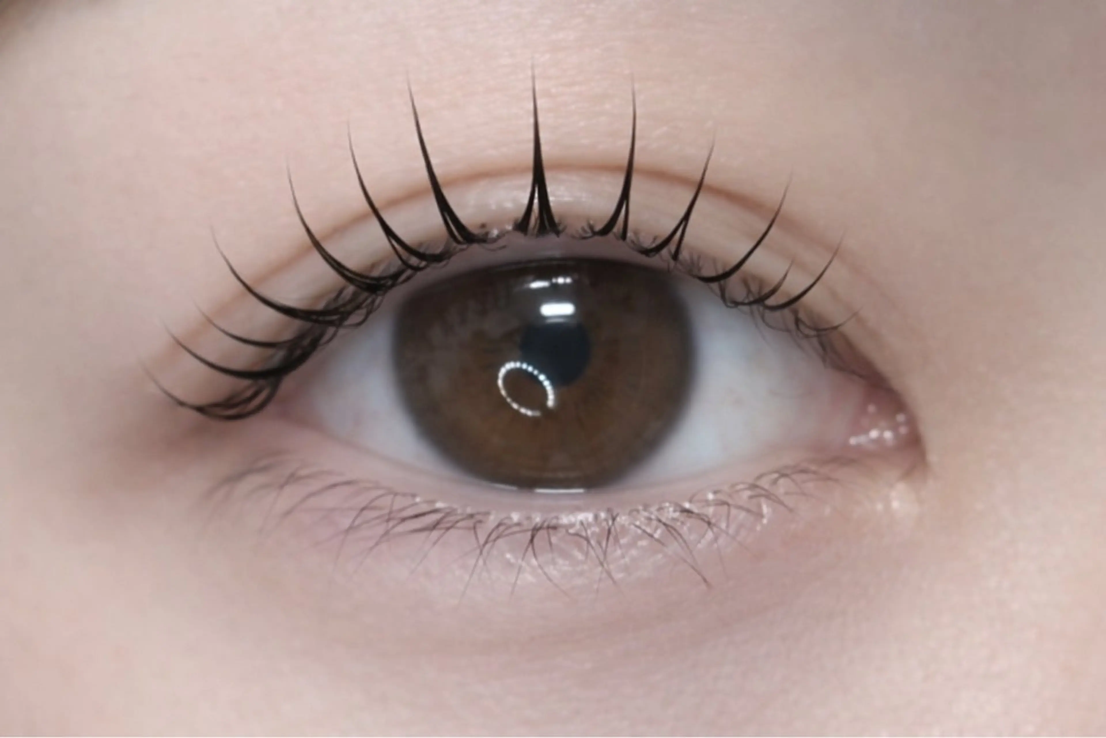 マツエク・マツパ マツパ byfleur annaのマツエク・マツパデザイン