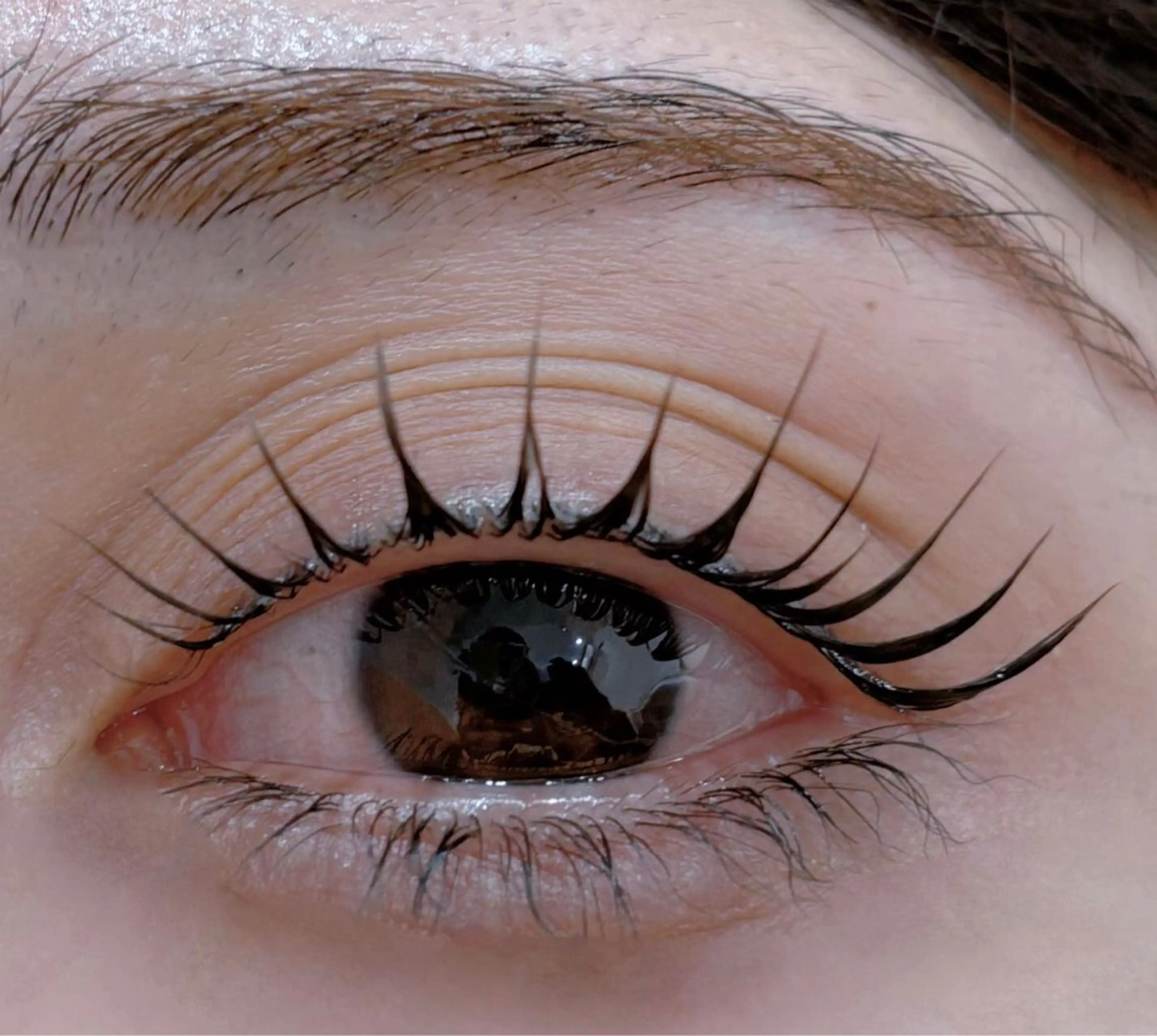 ご新規様限定❤️❤️❤️パリジェンヌラッシュリフト🌈韓国風束感つくり&コーティングで仕上げ✨🌟(上のみ)の写真