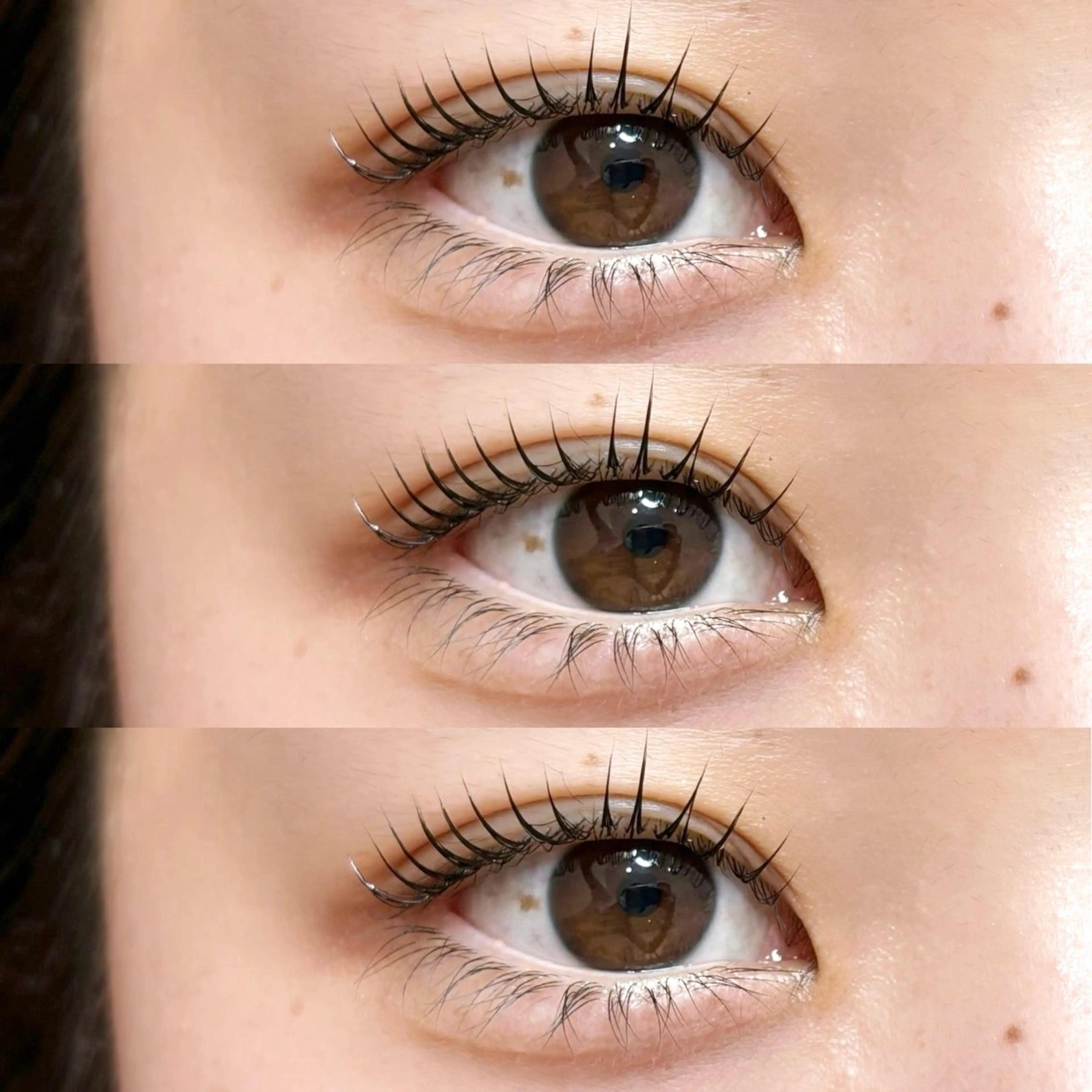 🎀𓊆1日1名限定 𓊇ブラックティント+まつげパーマorパリジェンヌラッシュリフトの写真