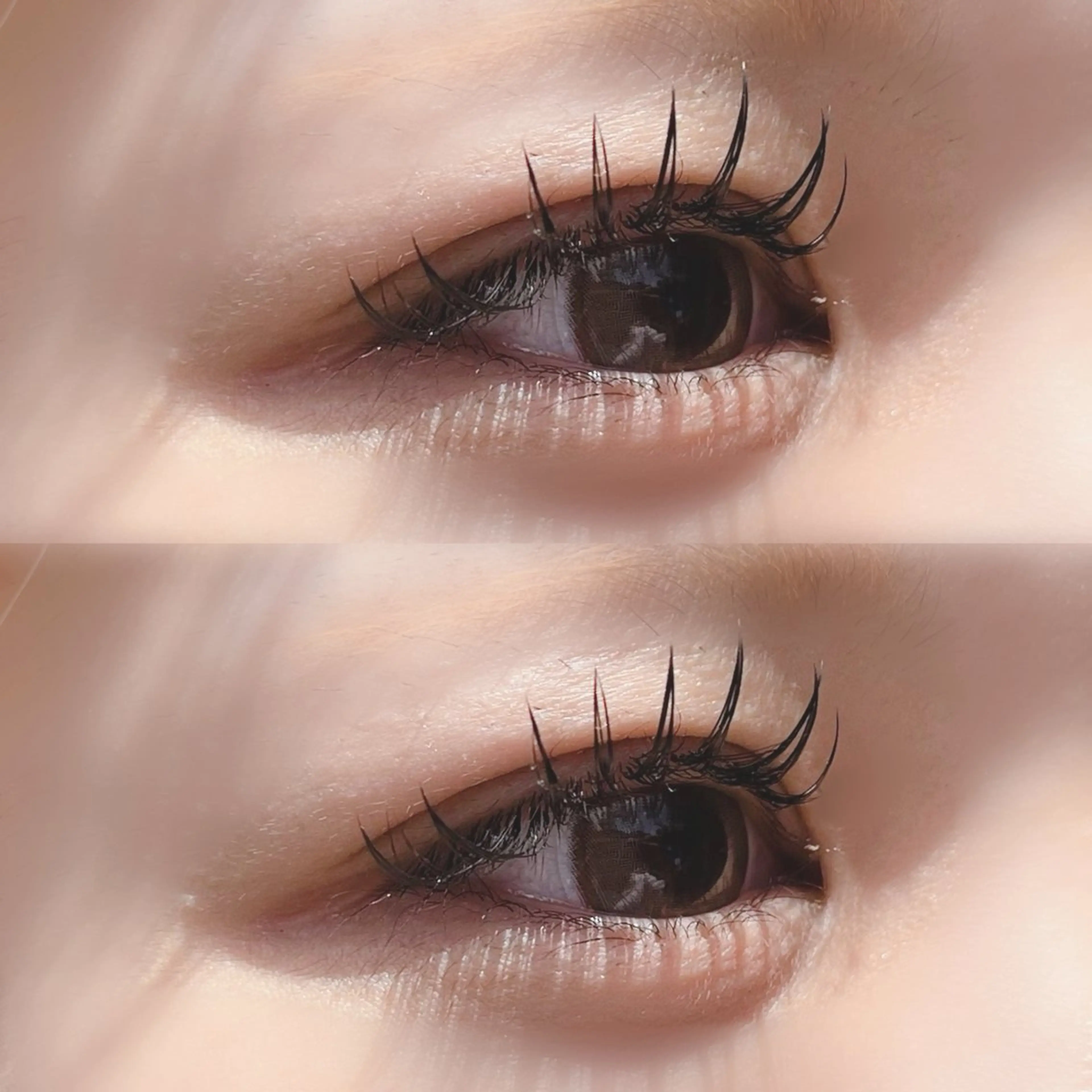 🍬フラットラッシュ【つけ放題90分】🍬当日予約⭕️の写真