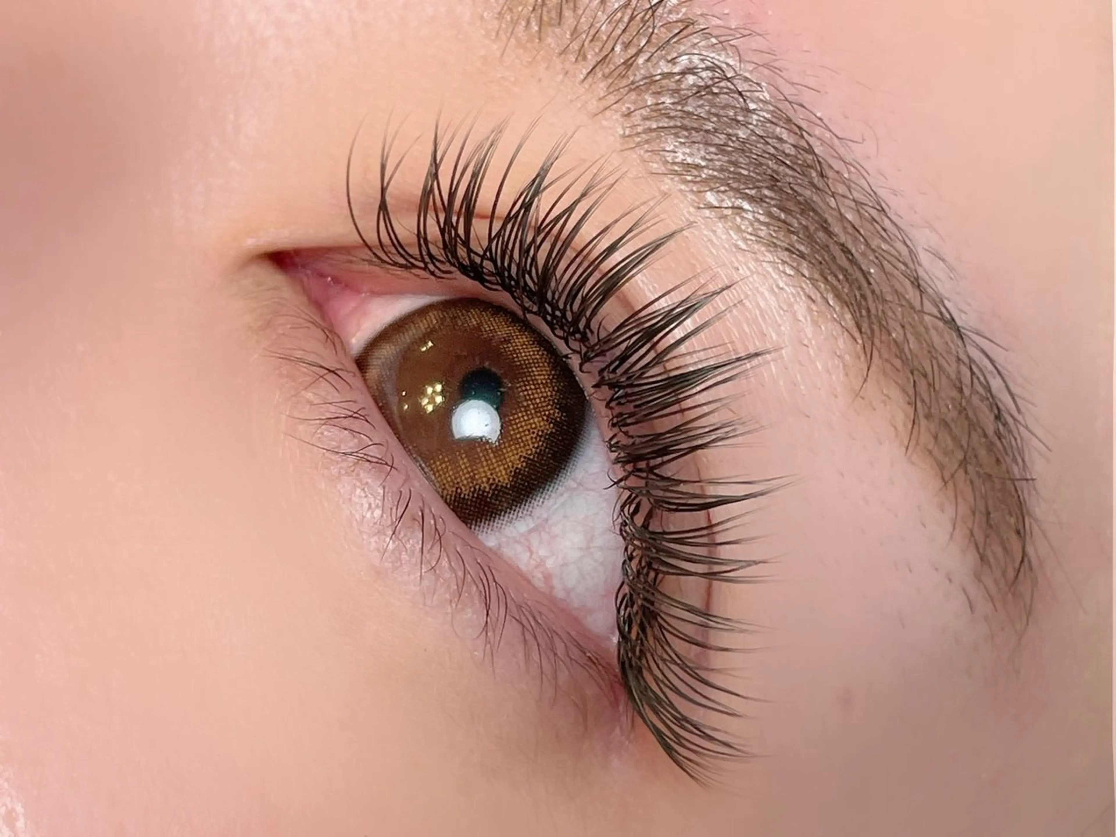 🚨急募！1名限定　LED下まつ毛エクステ40本の写真