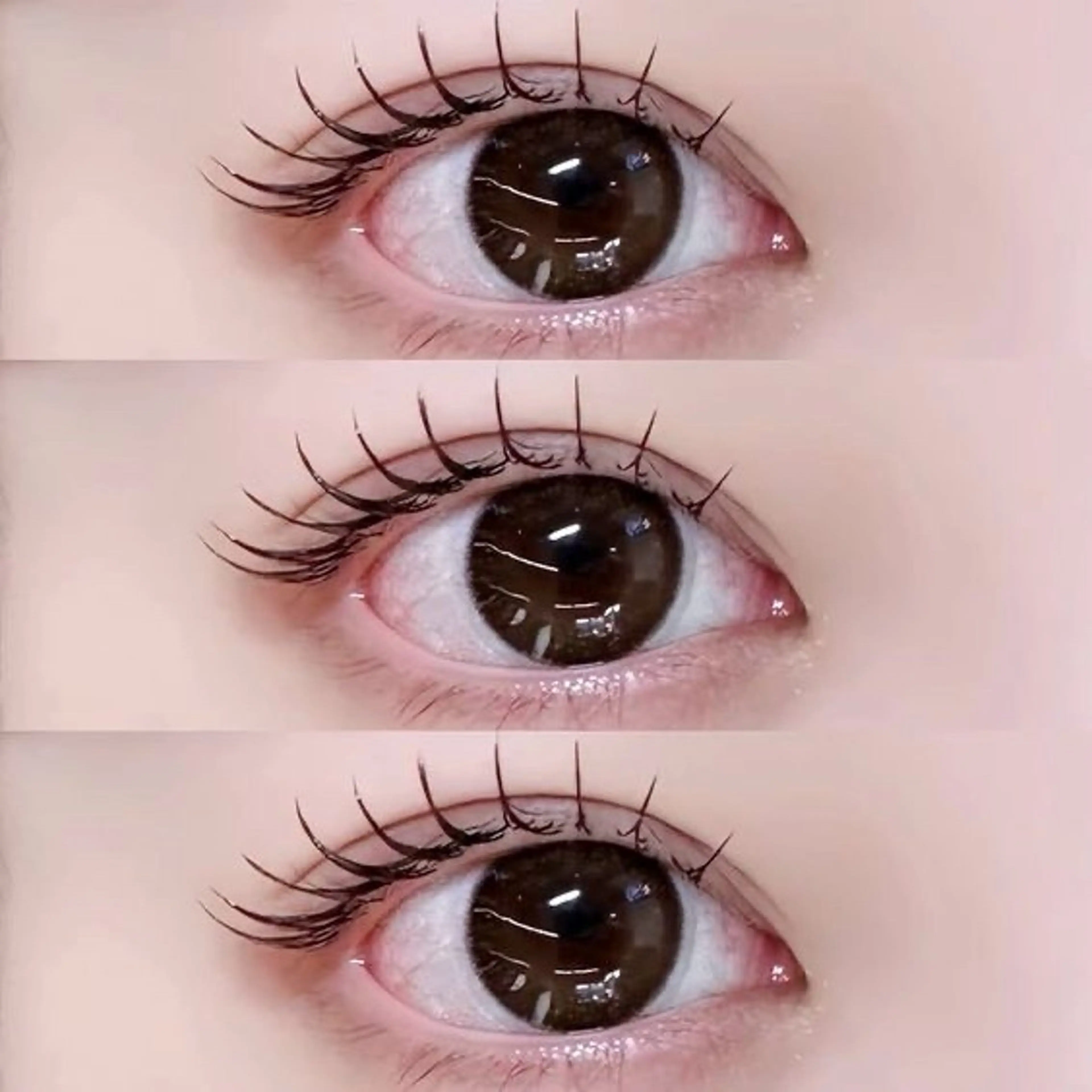 ⭐︎期間限定⭐︎オープン記念価格【モチアップコース(パリジェンヌ)】の写真