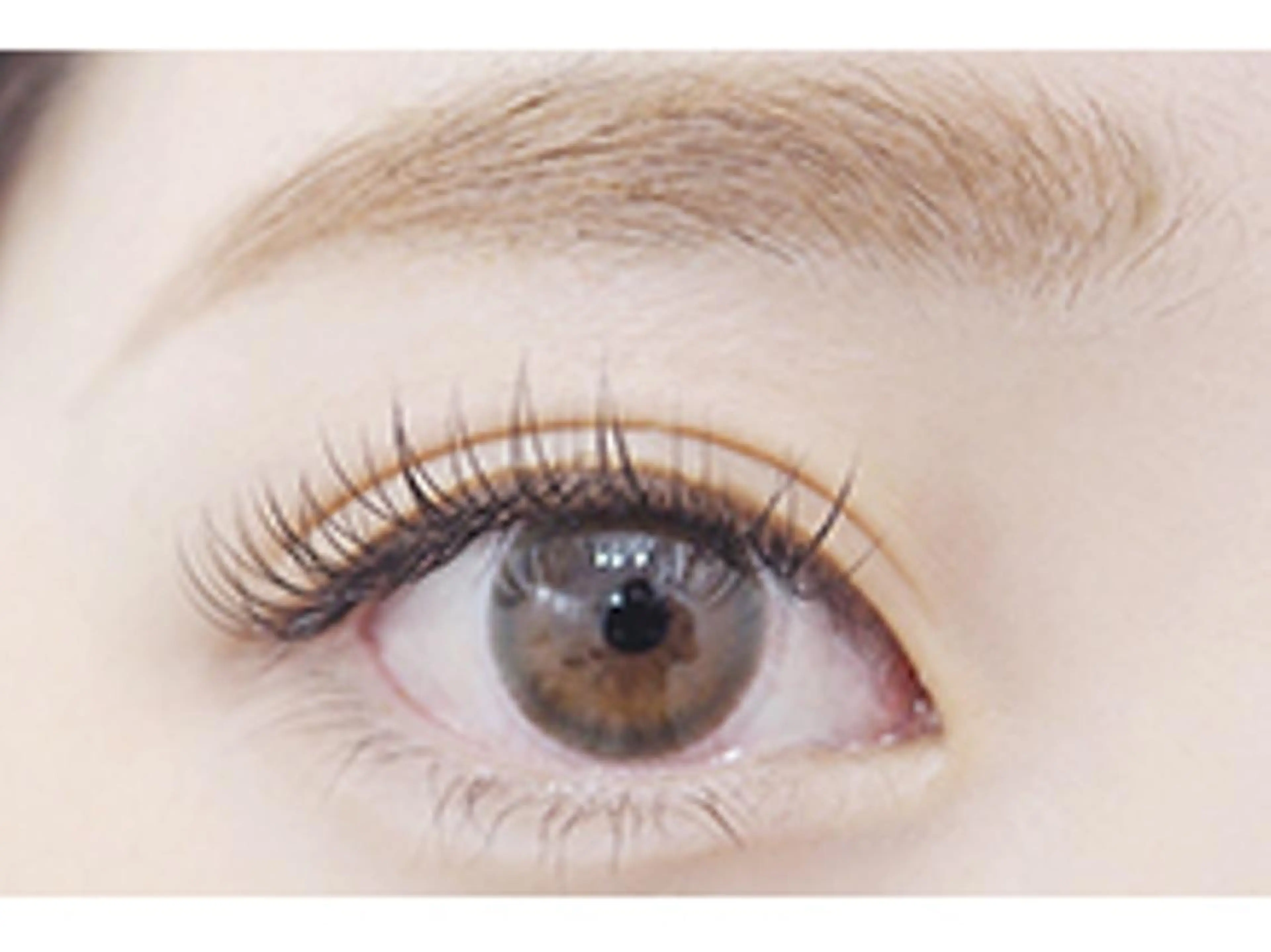 【 モデル募集】まつげパーマ〈コーティング付〉¥0 ※オフ不可※の写真