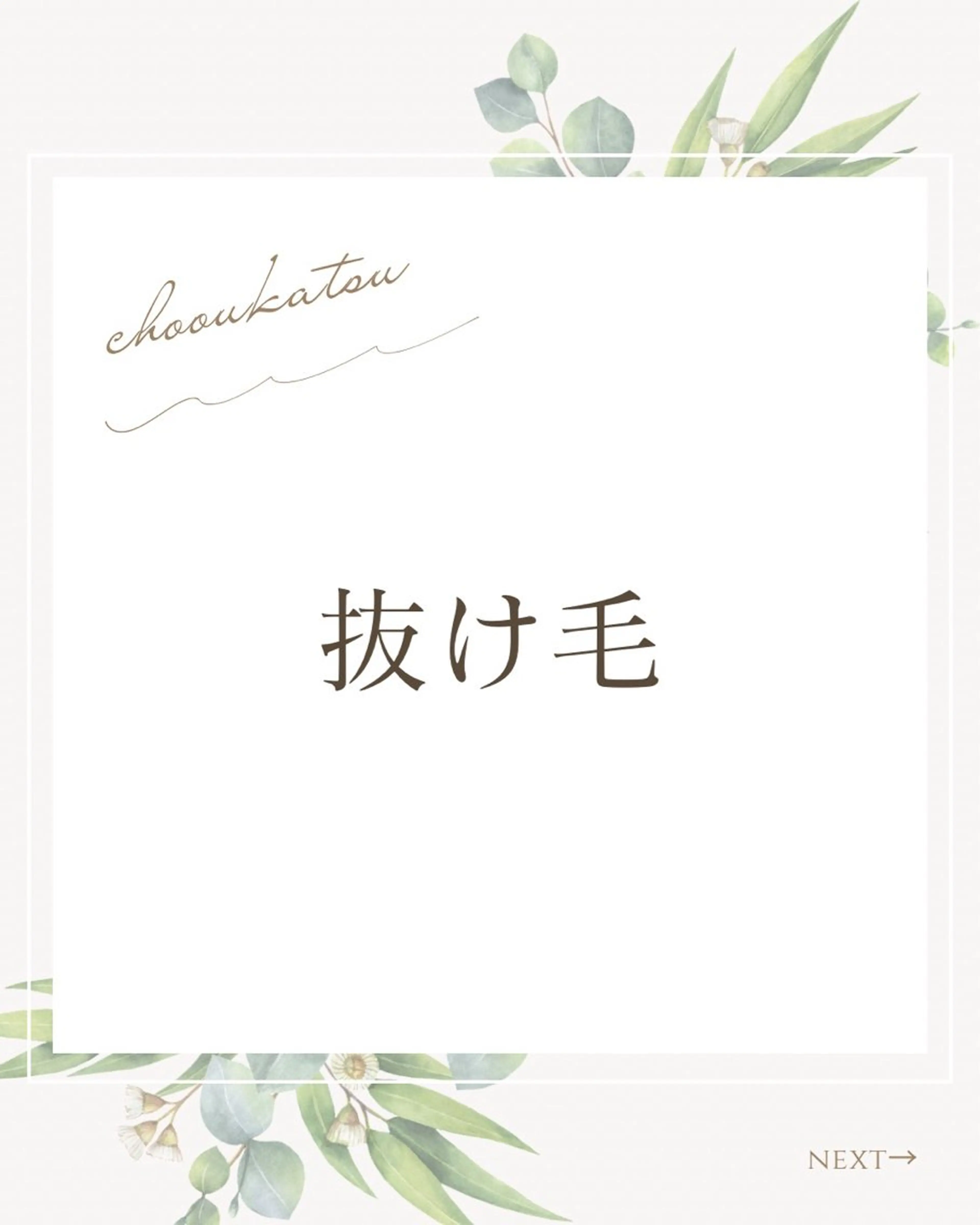 ショート コゾノ ミキコのヘアスタイル