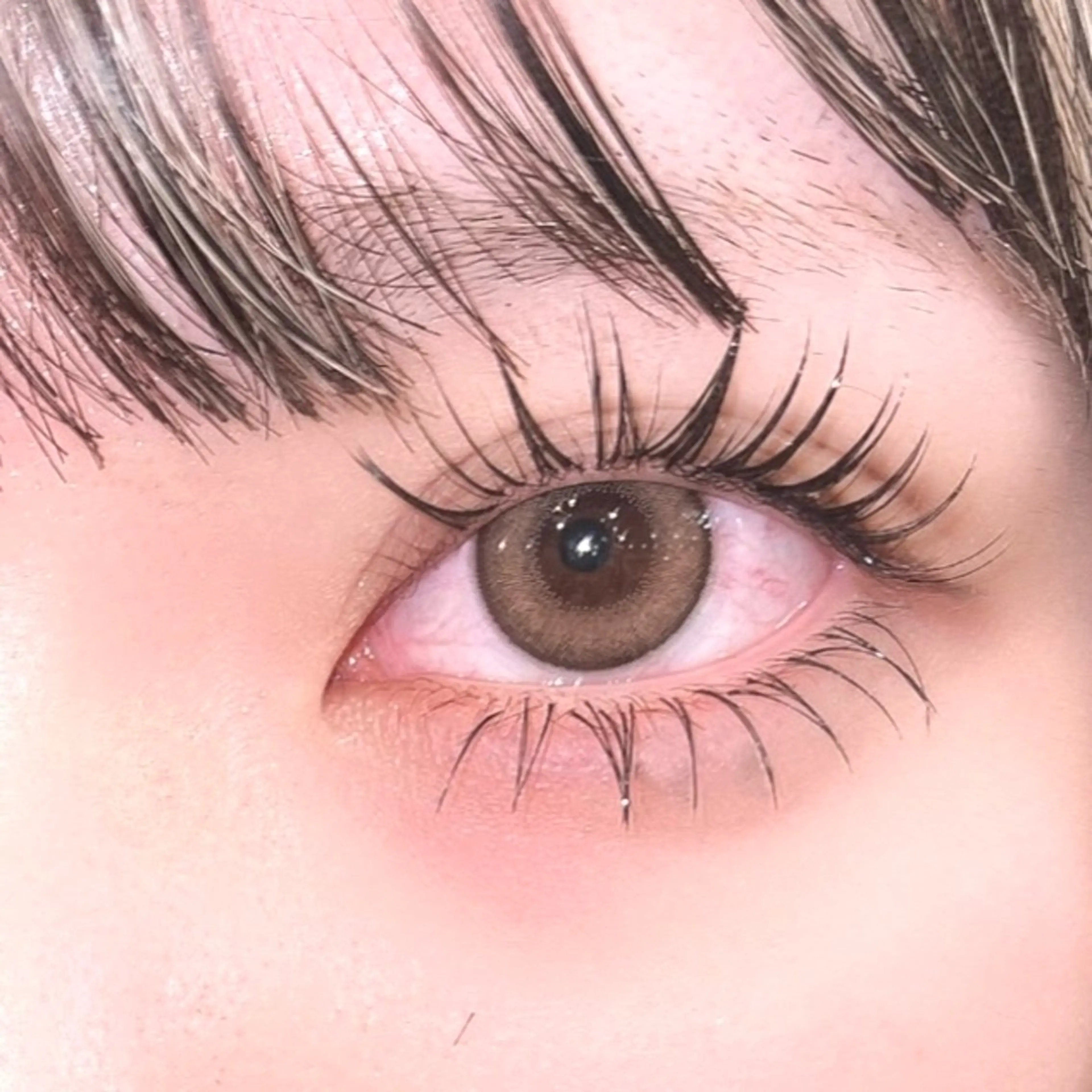 【&healthy練習モデル🩰】まつ毛パーマ×バインドロック60束・80束(+¥500)の写真