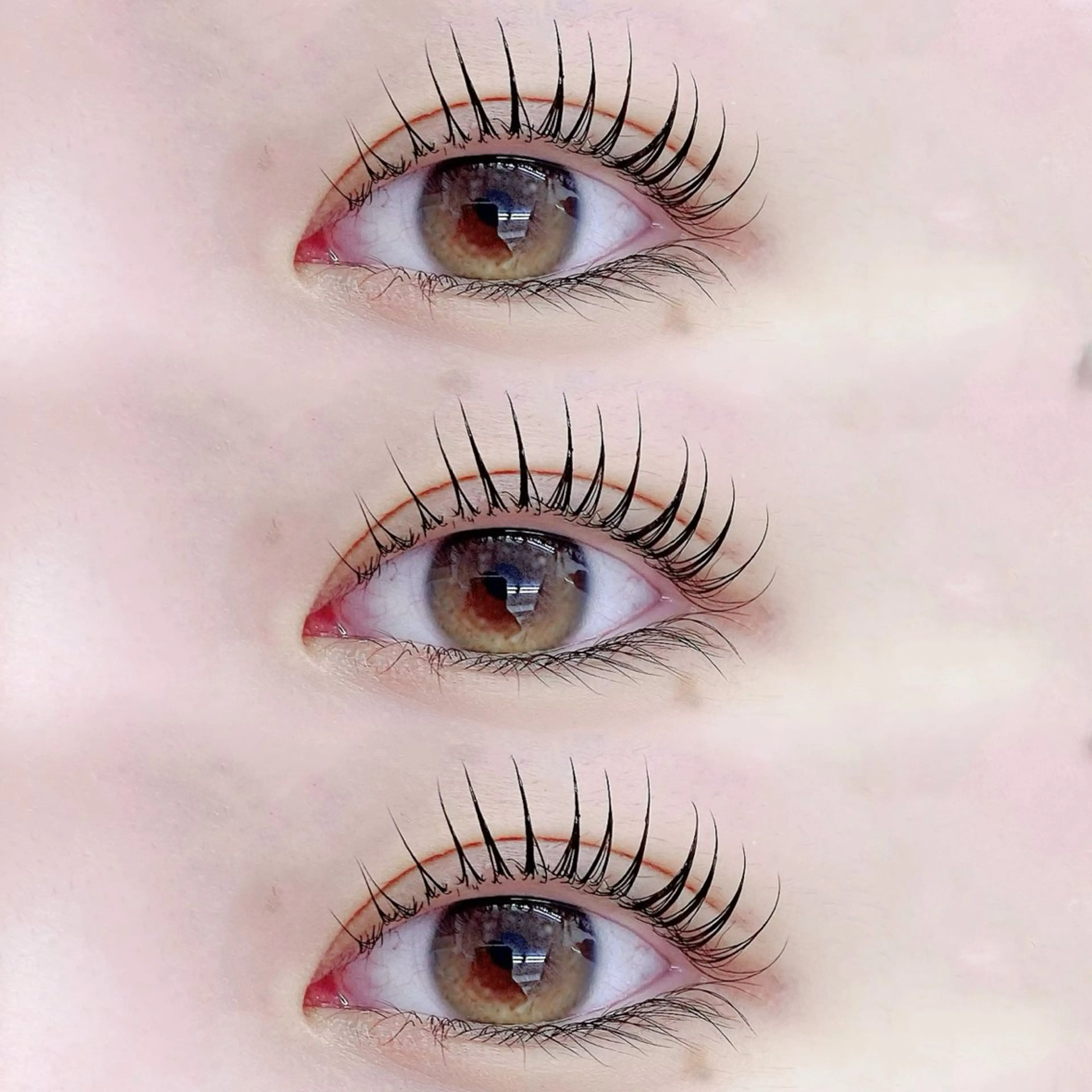 【当日限定】パリジェンヌラッシュリフト🪡🤍の写真